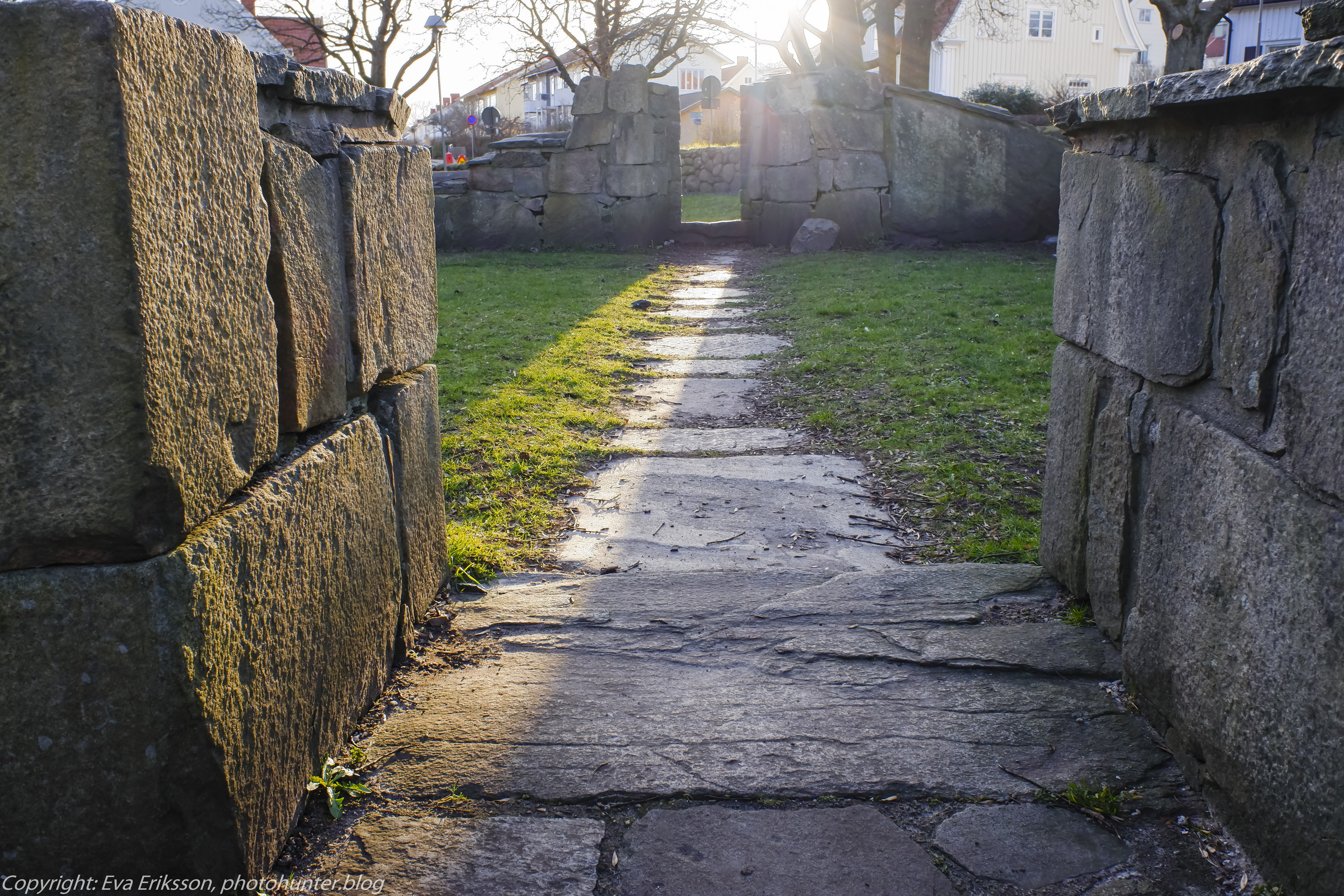 22032020-22032020-_DSF0510