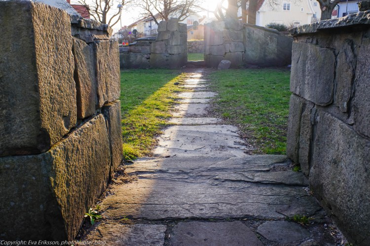 22032020-22032020-_DSF0510