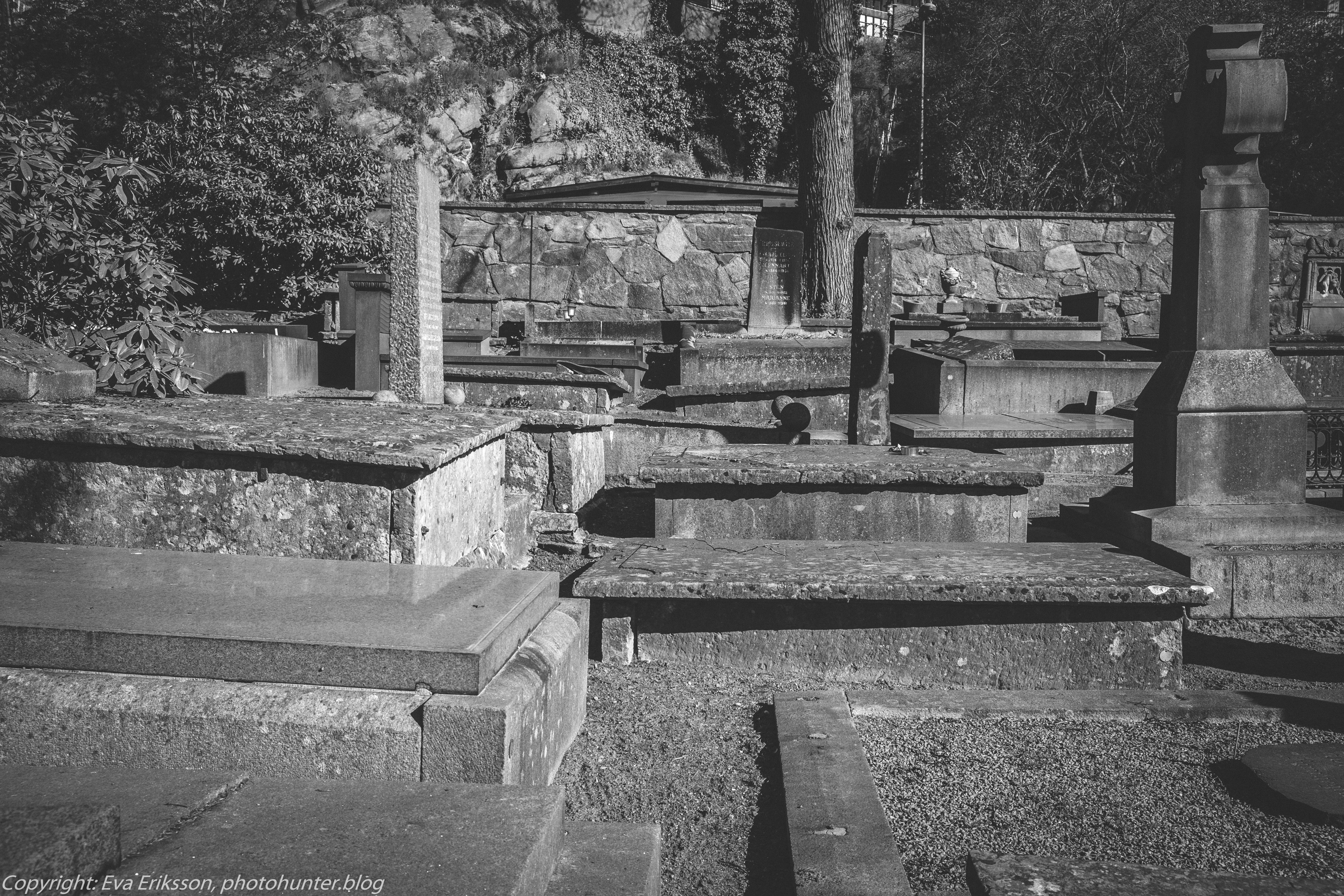 07052020-07052020-_DSF4132