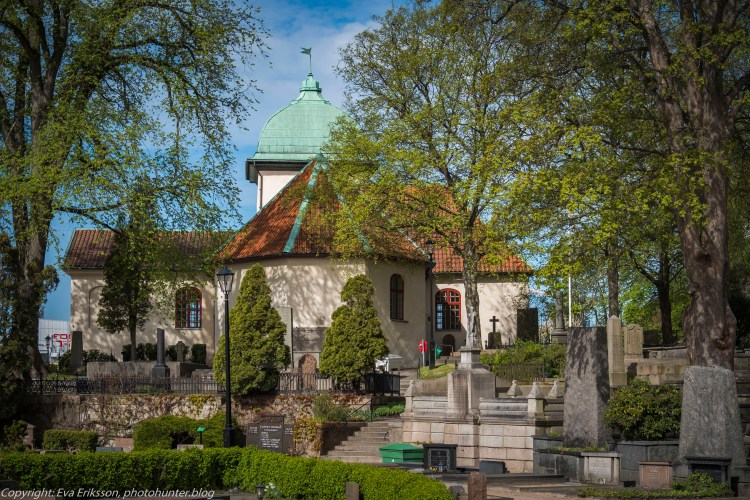 07052020-07052020-_DSF4213