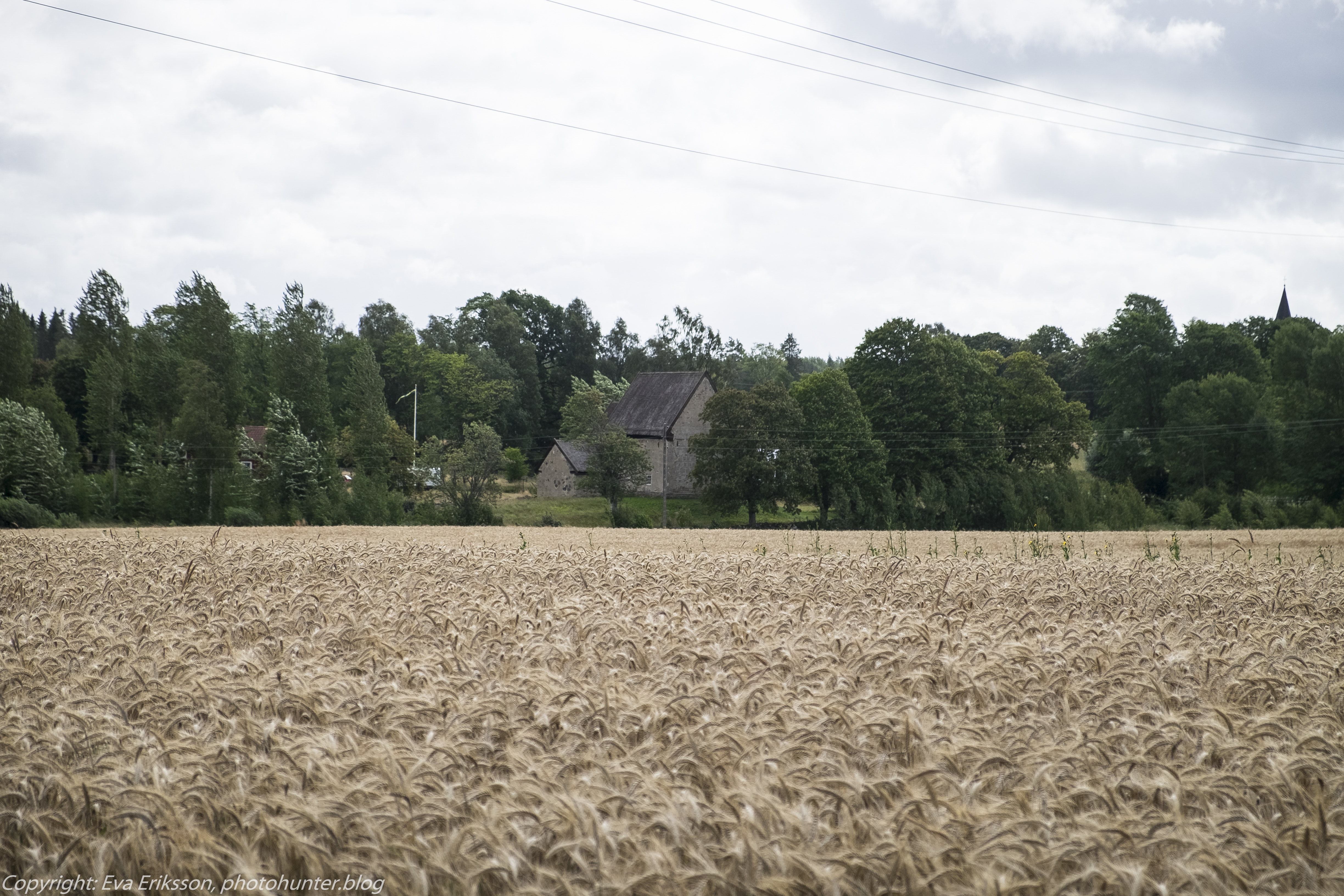 08082016-08082016-_DSF6943