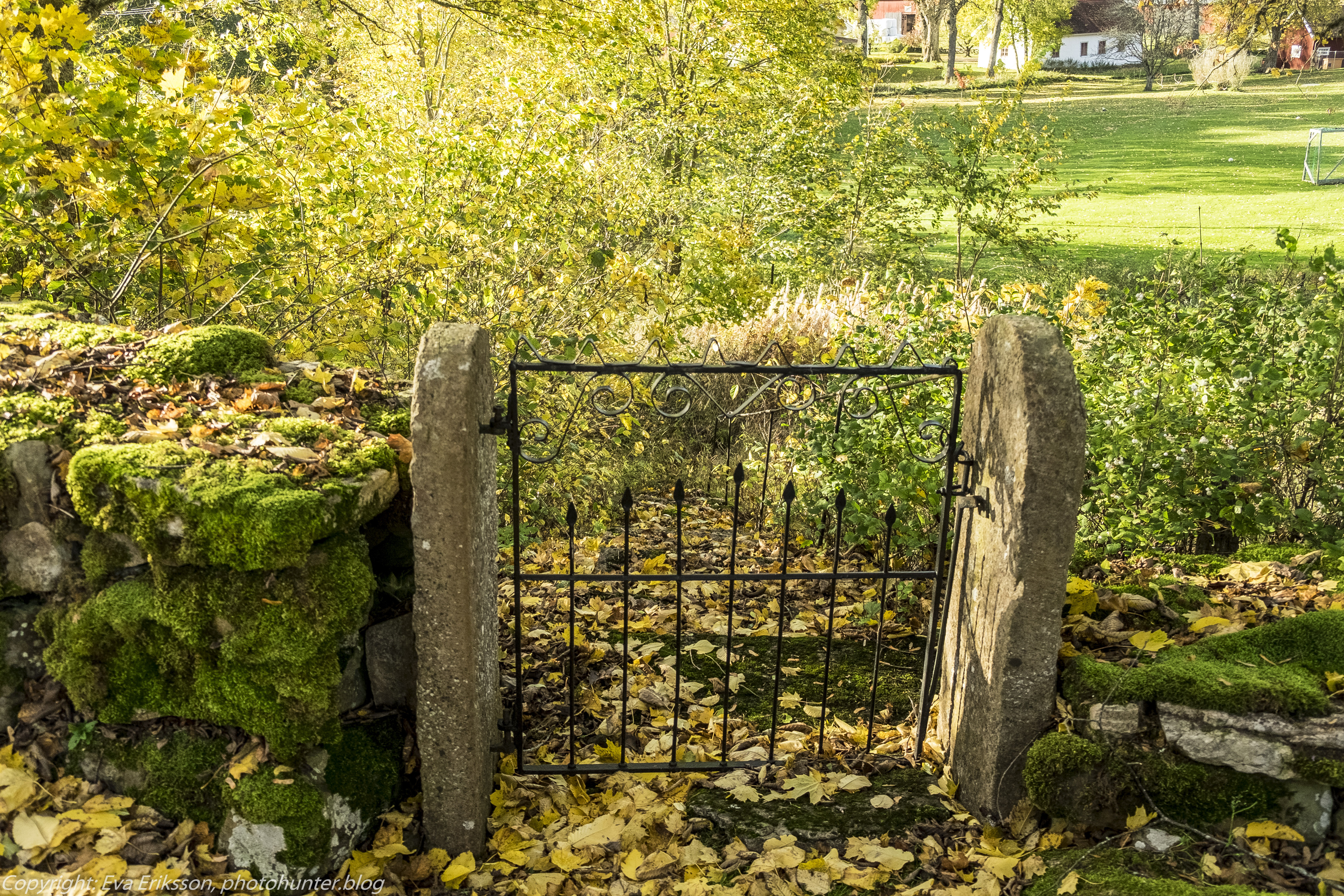 16102017-16102017-_DSF2233