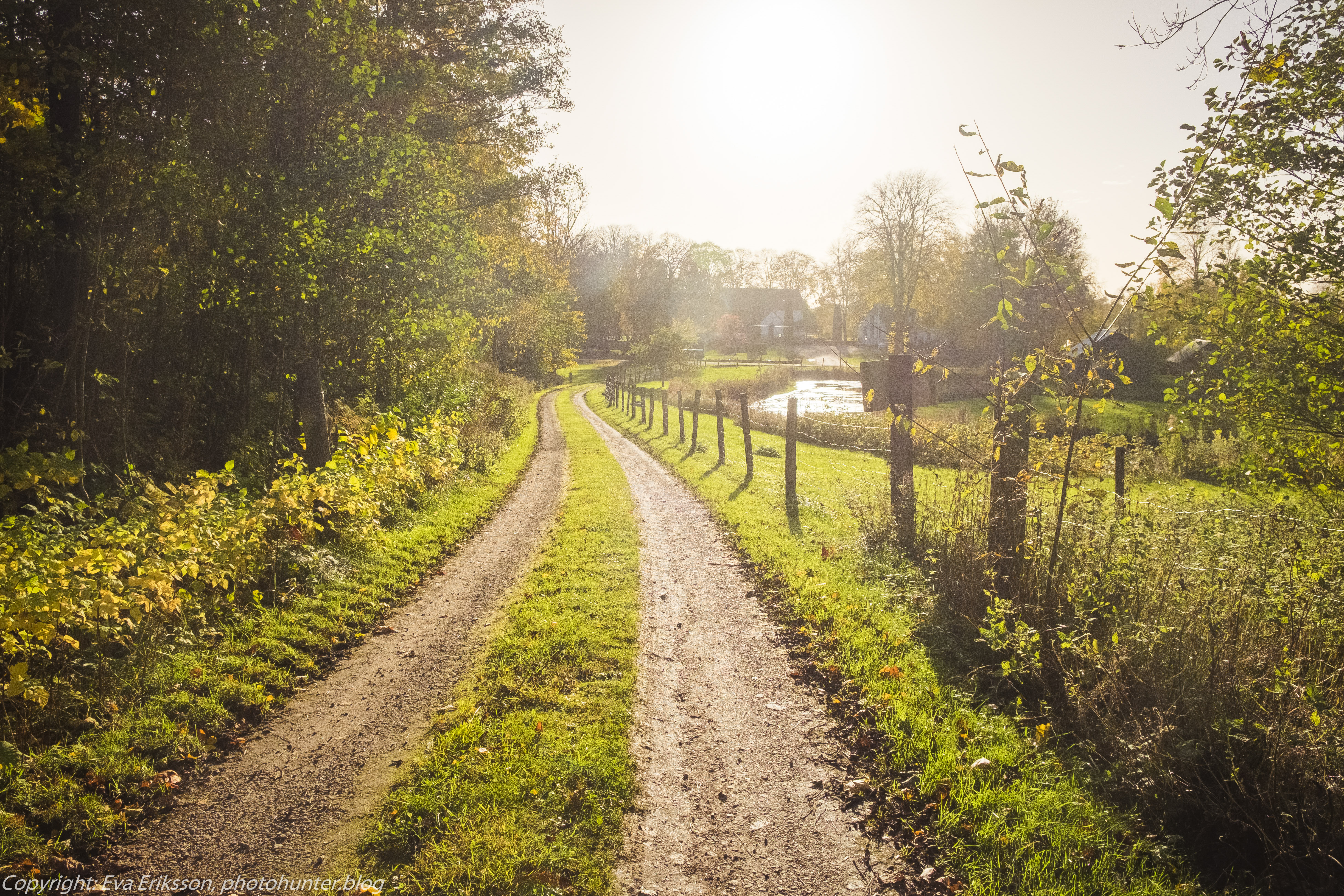 16102017-16102017-_DSF2300