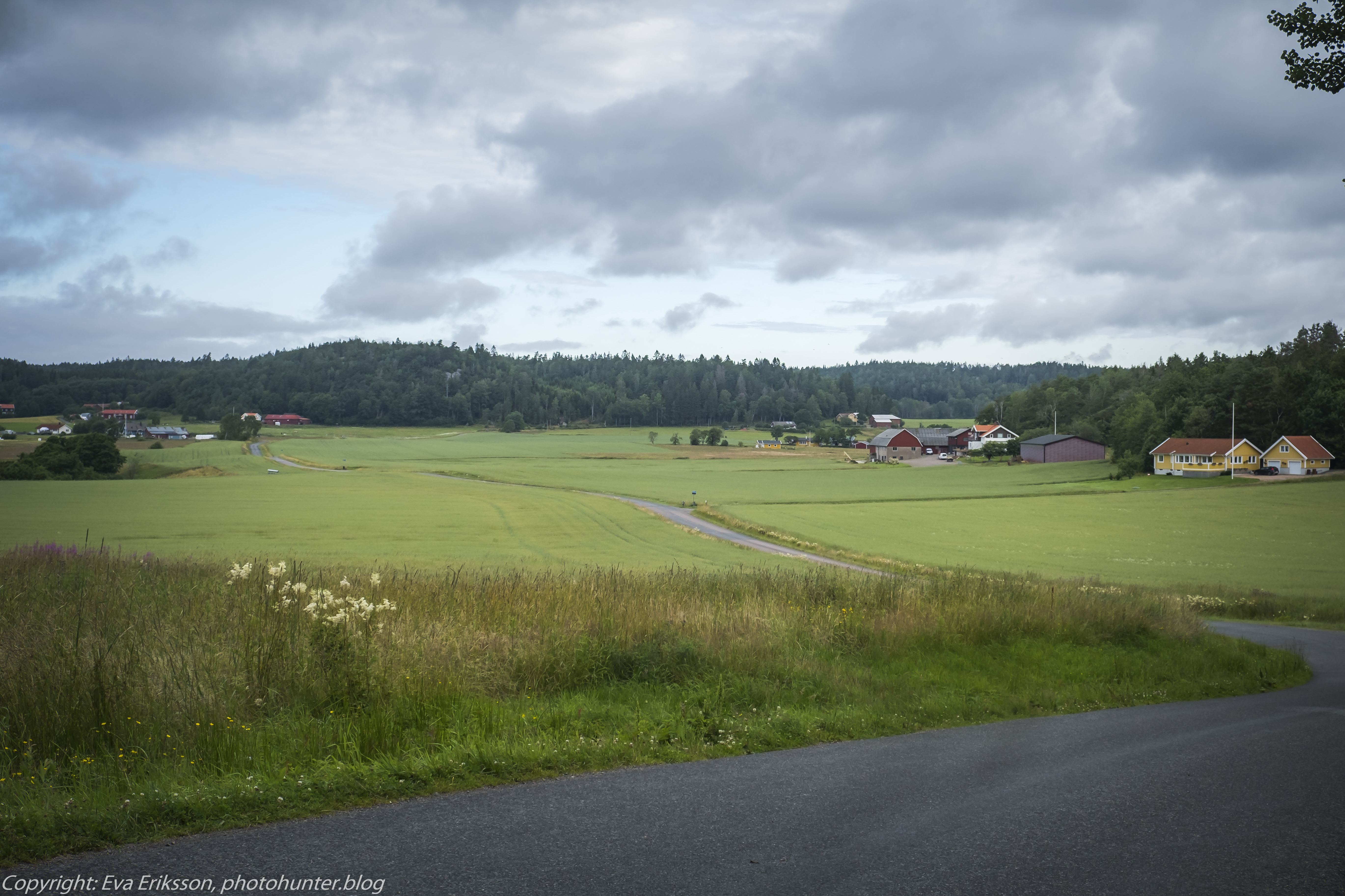 16072020-16072020-_DSF5007