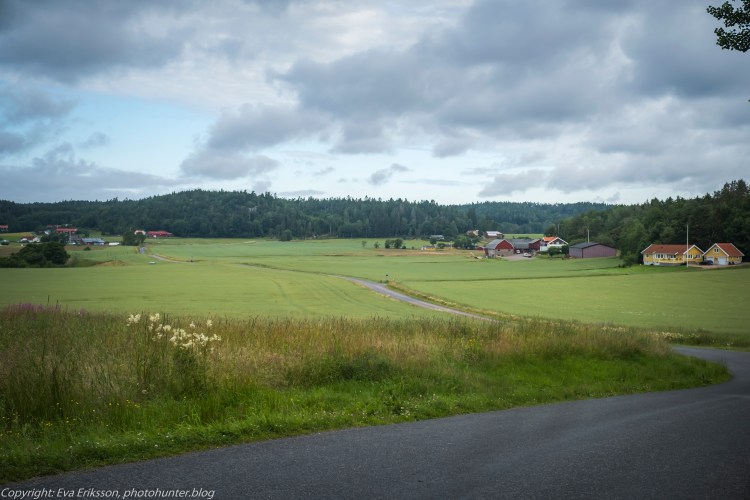 16072020-16072020-_DSF5007