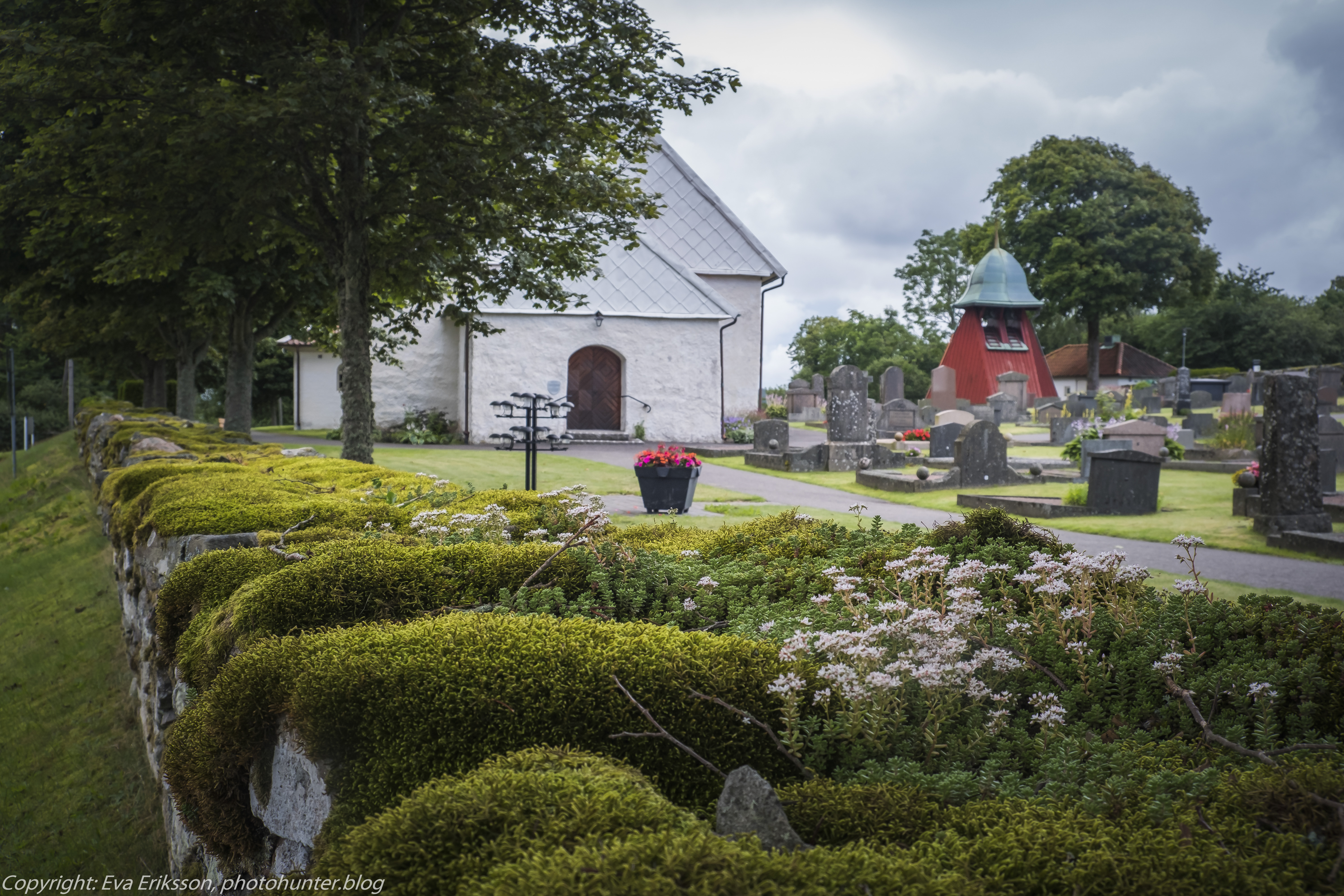 16072020-16072020-_DSF5019