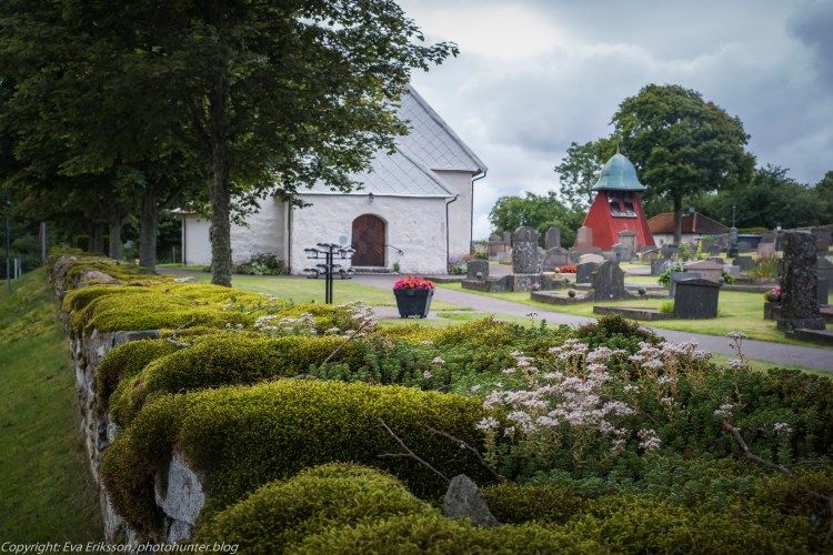 16072020-16072020-_DSF5019