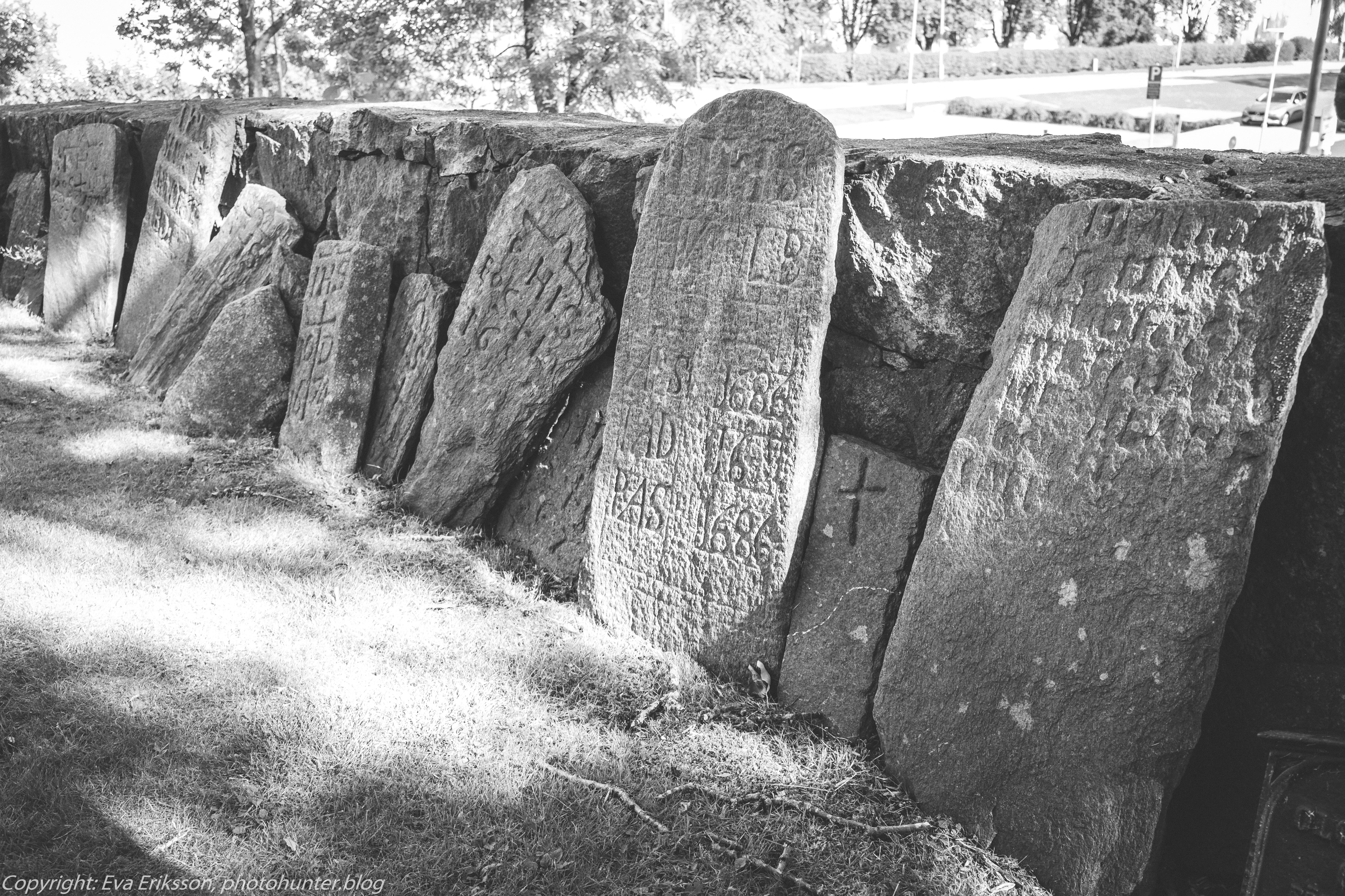 09082020-09082020-_DSF5437