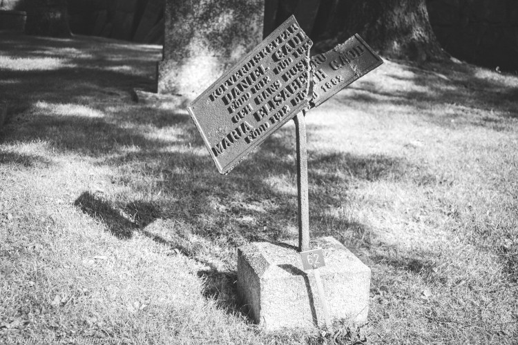 09082020-Olympus 28mm 3.5-3