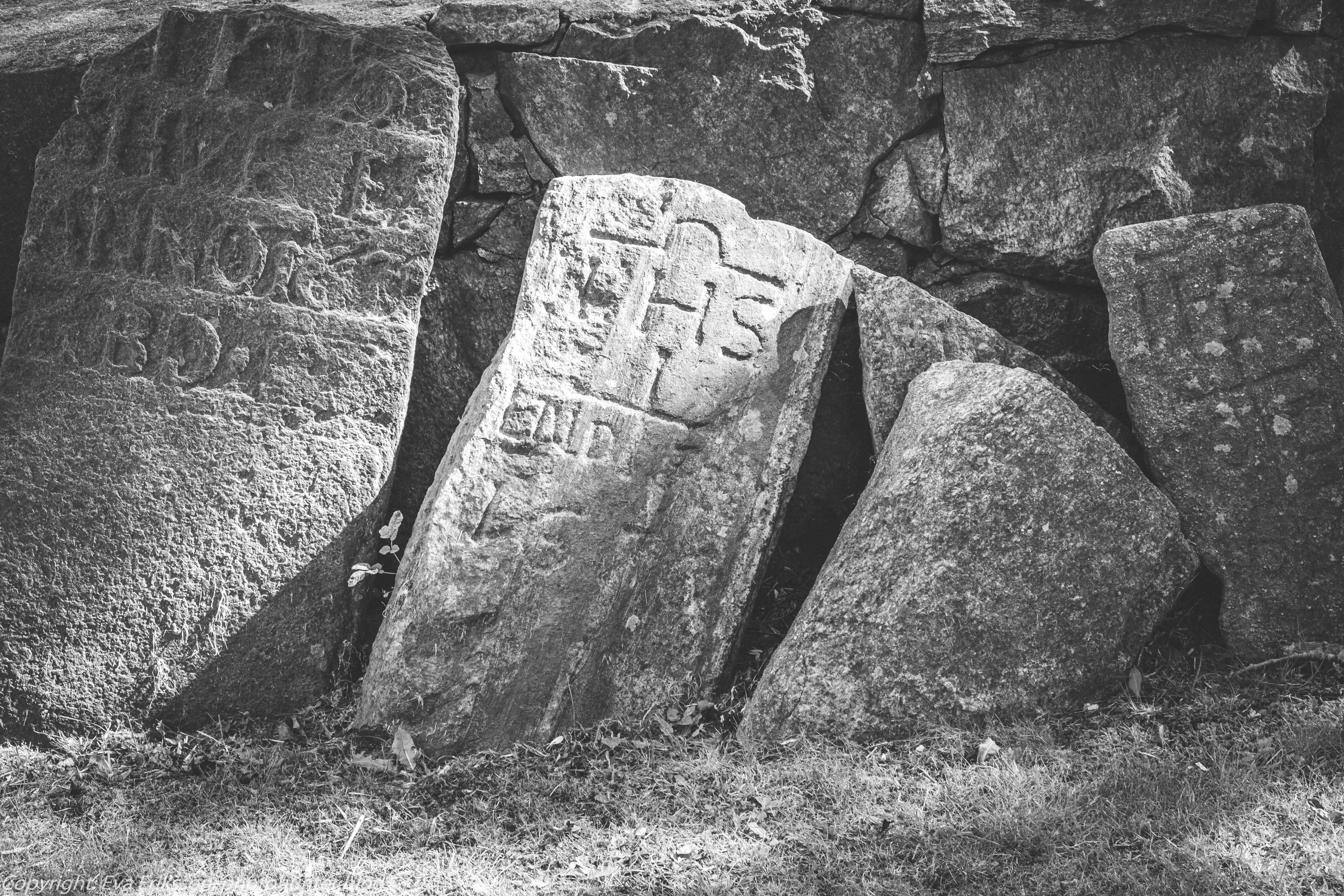 09082020-Olympus 28mm 3.5-4