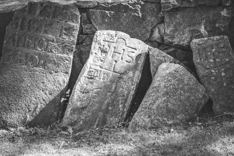 09082020-Olympus 28mm 3.5-4