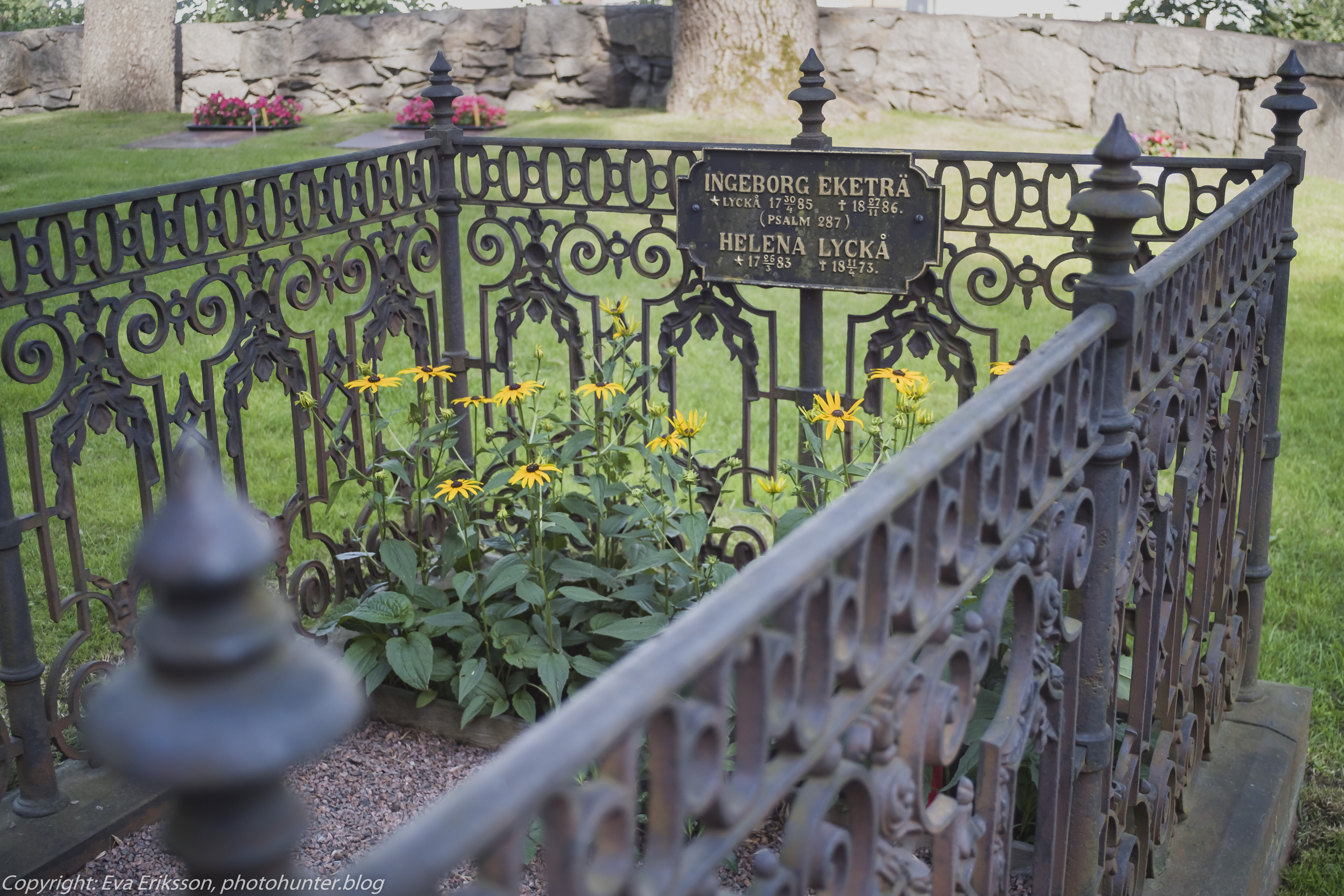 09082020-Olympus 28mm 3.5