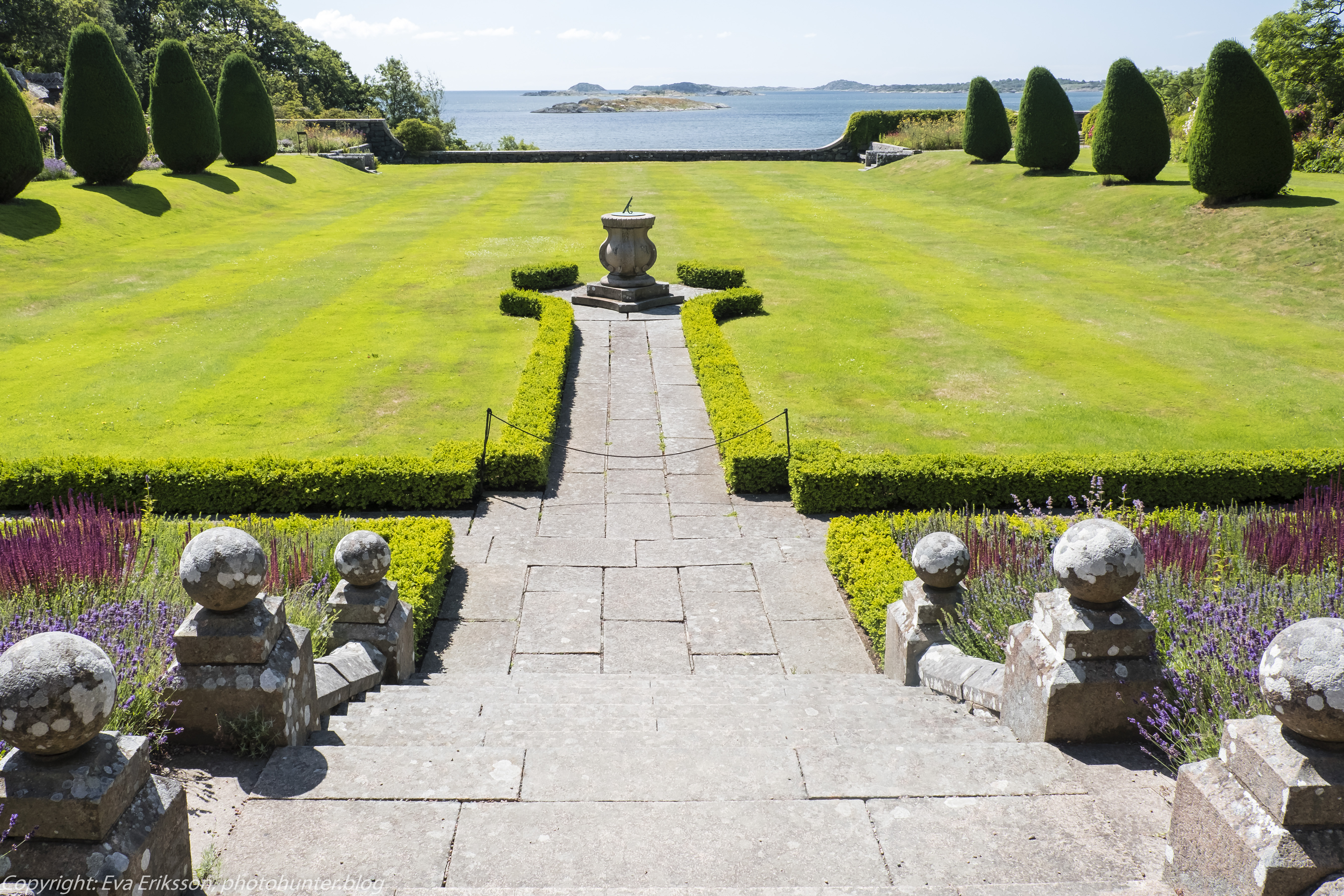 20072020-20072020-_DSF5040