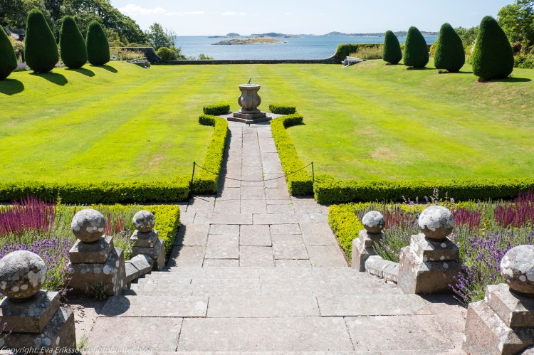 20072020-20072020-_DSF5040