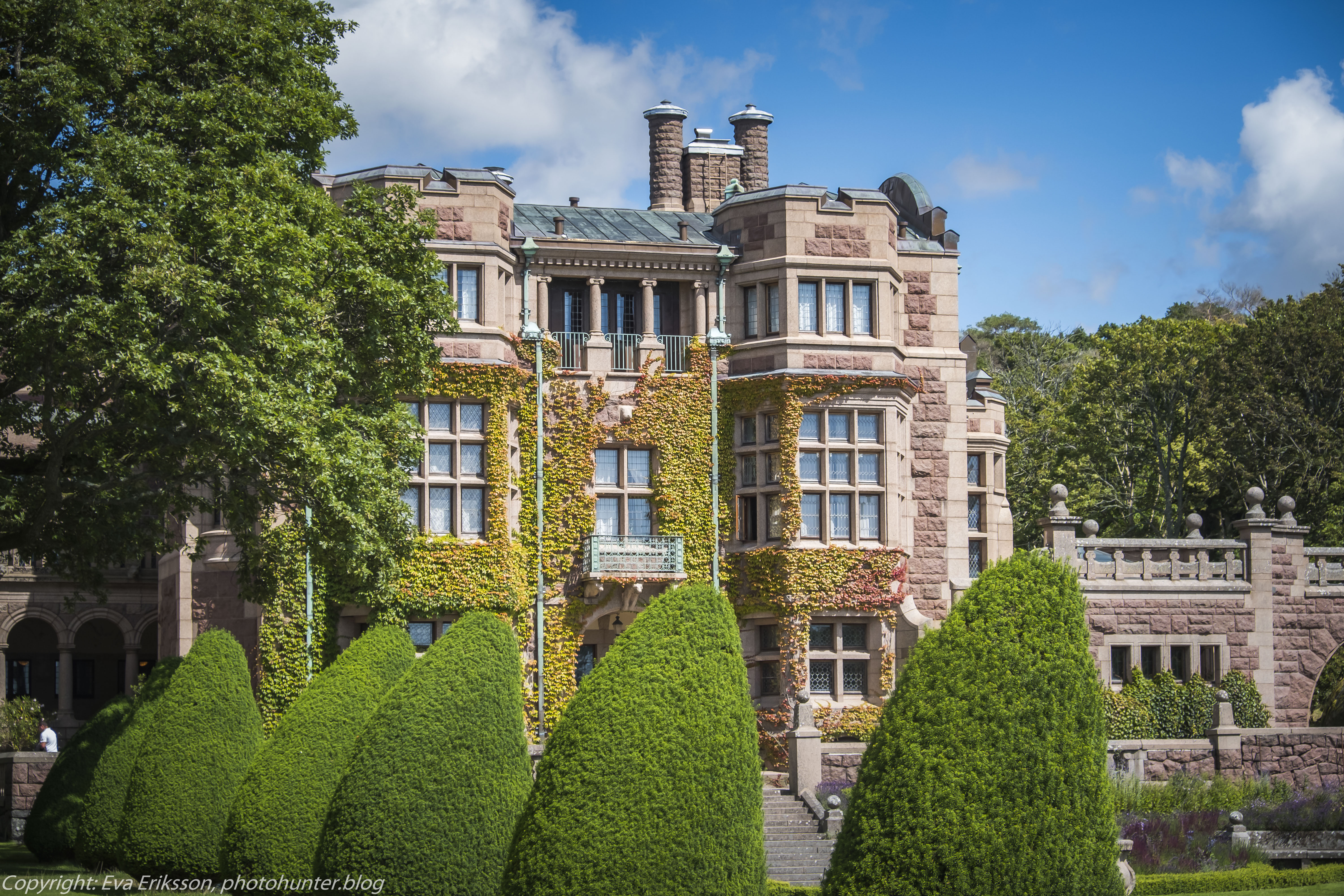 20072020-20072020-_DSF5056