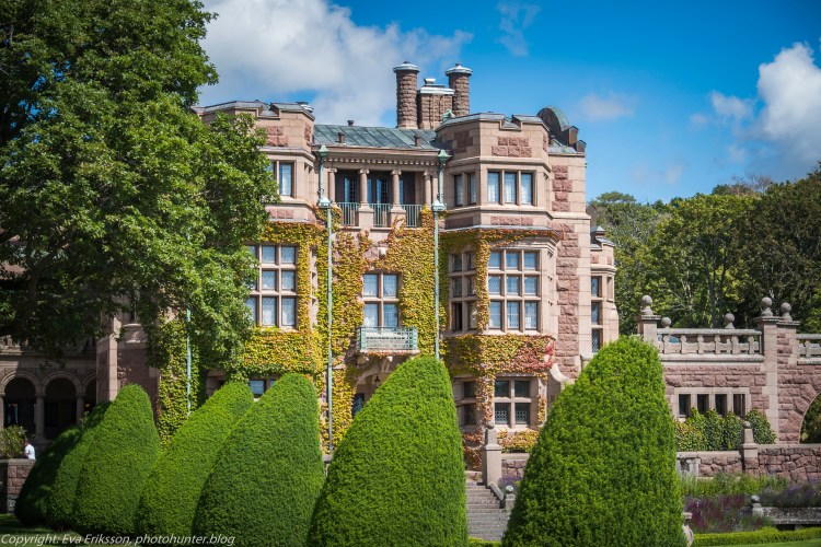 20072020-20072020-_DSF5056