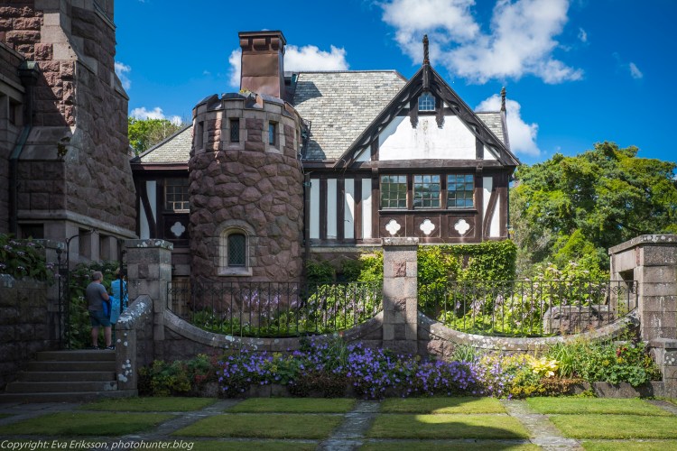 20072020-20072020-_DSF5064