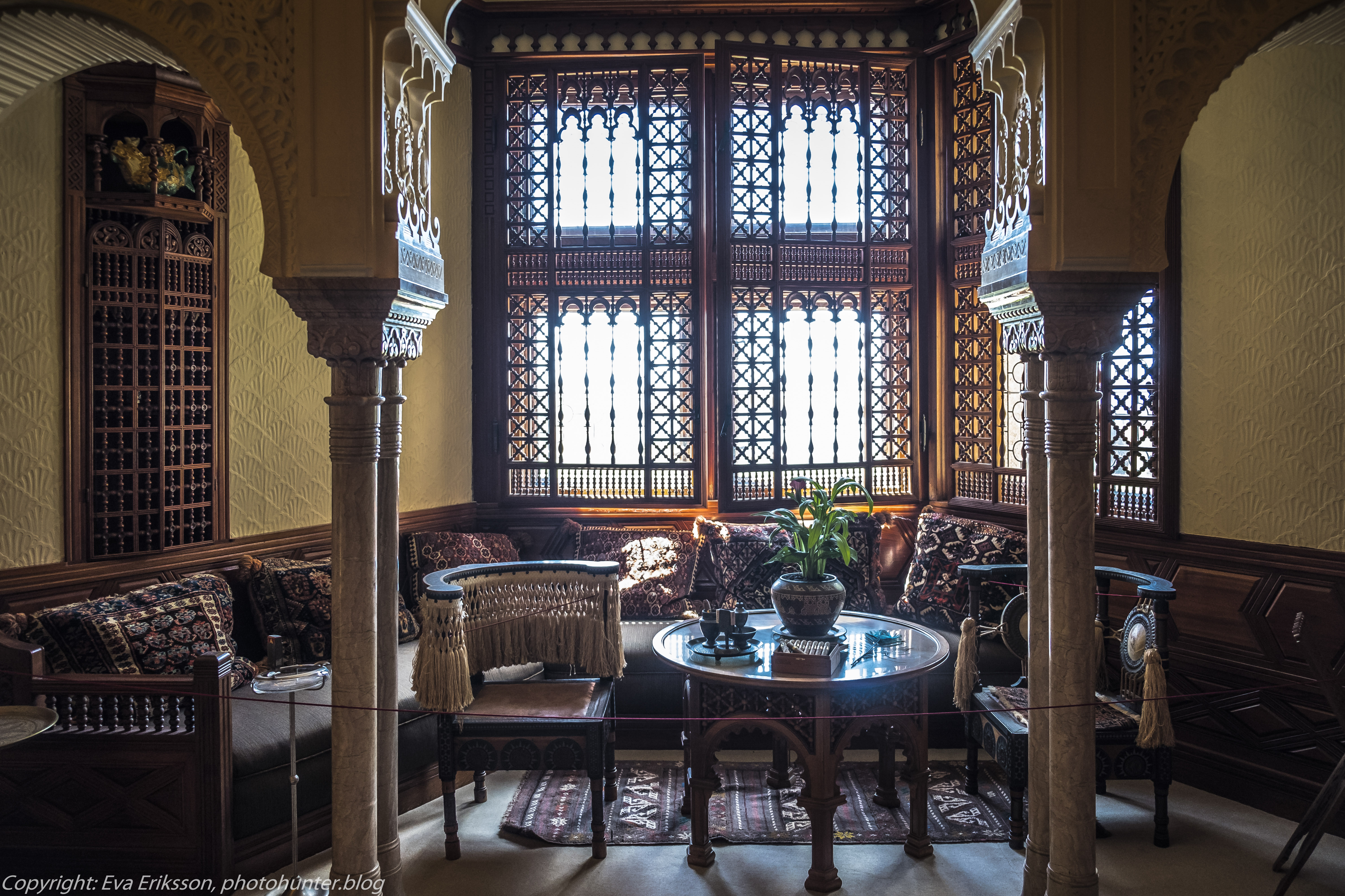 20072020-20072020-_DSF5076