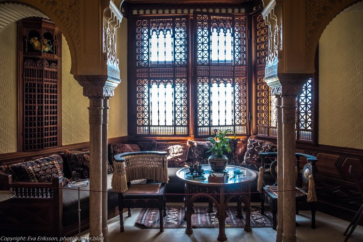 20072020-20072020-_DSF5076