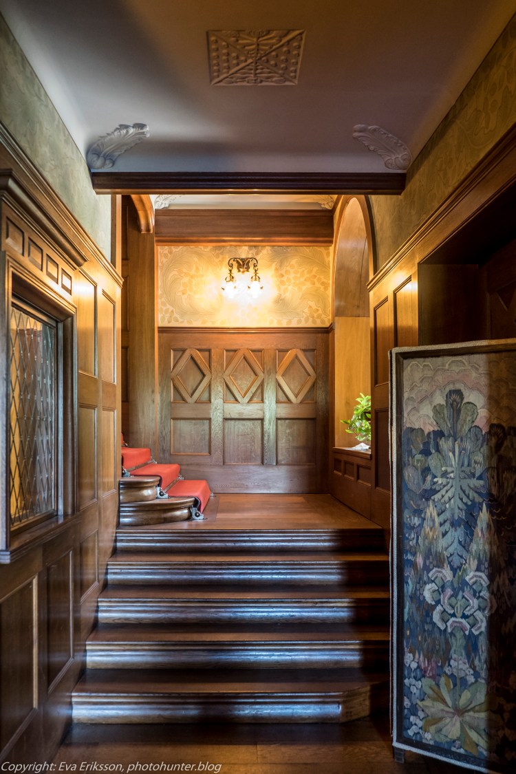 20072020-20072020-_DSF5123