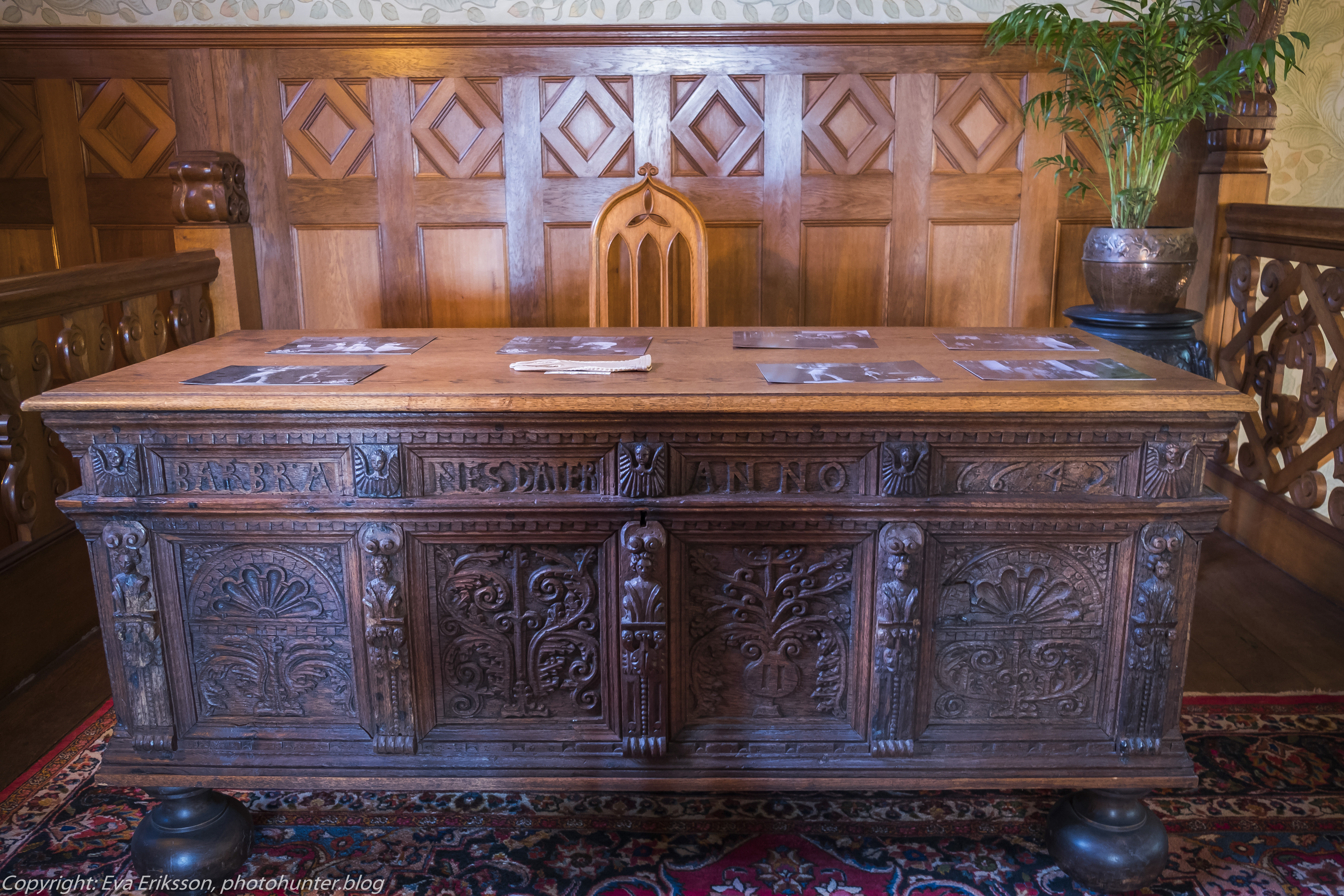 20072020-20072020-_DSF5129