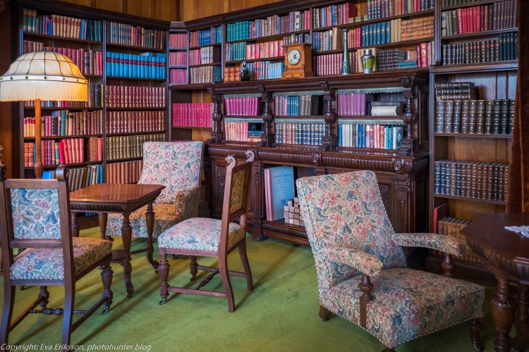 20072020-20072020-_DSF5140