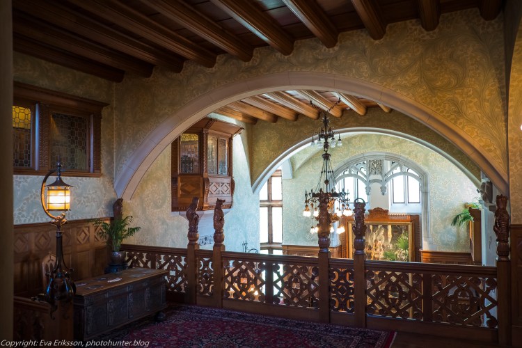 20072020-20072020-_DSF5150