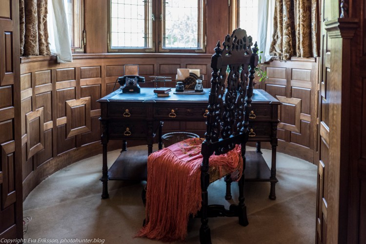 20072020-20072020-_DSF5156