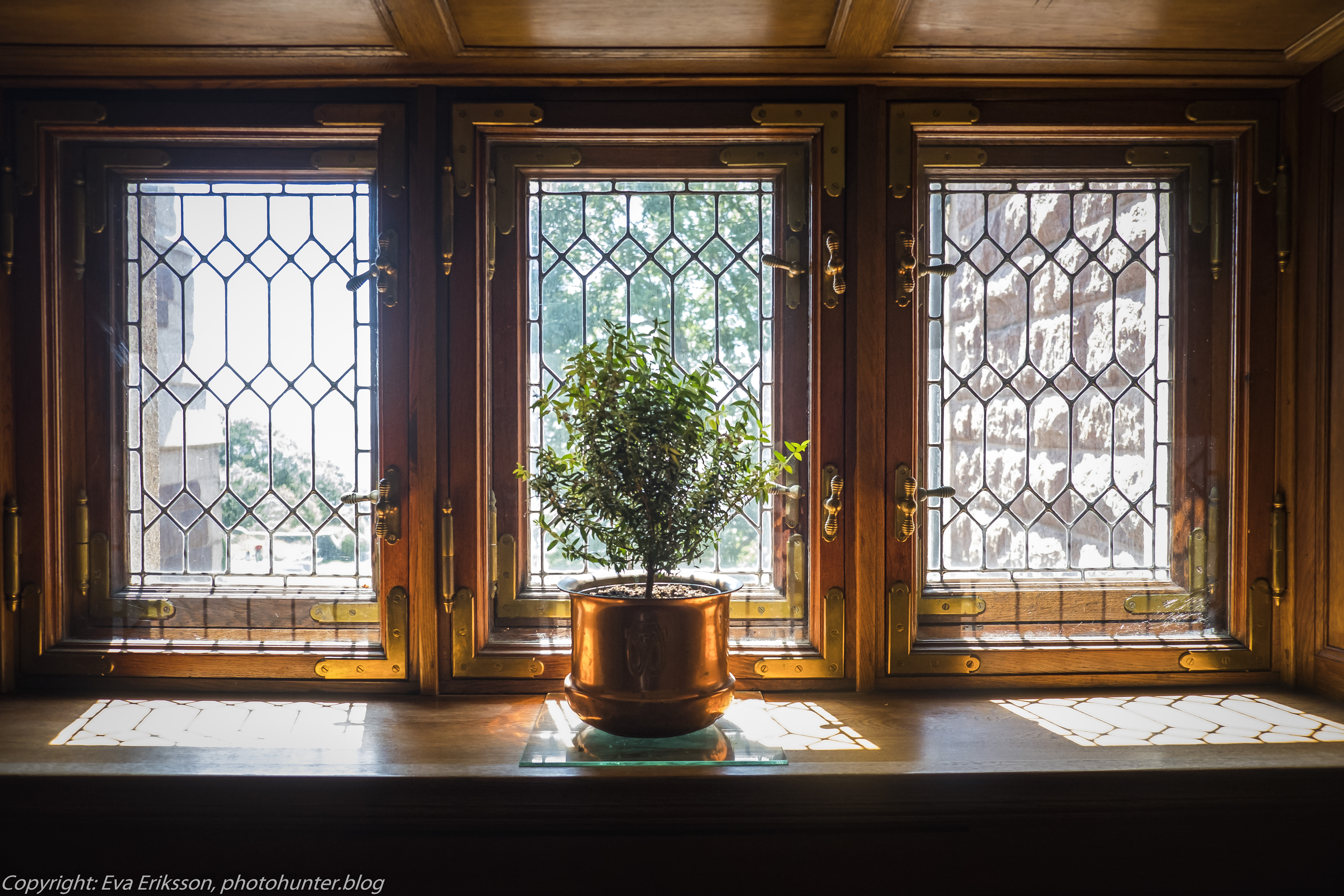 20072020-20072020-_DSF5172