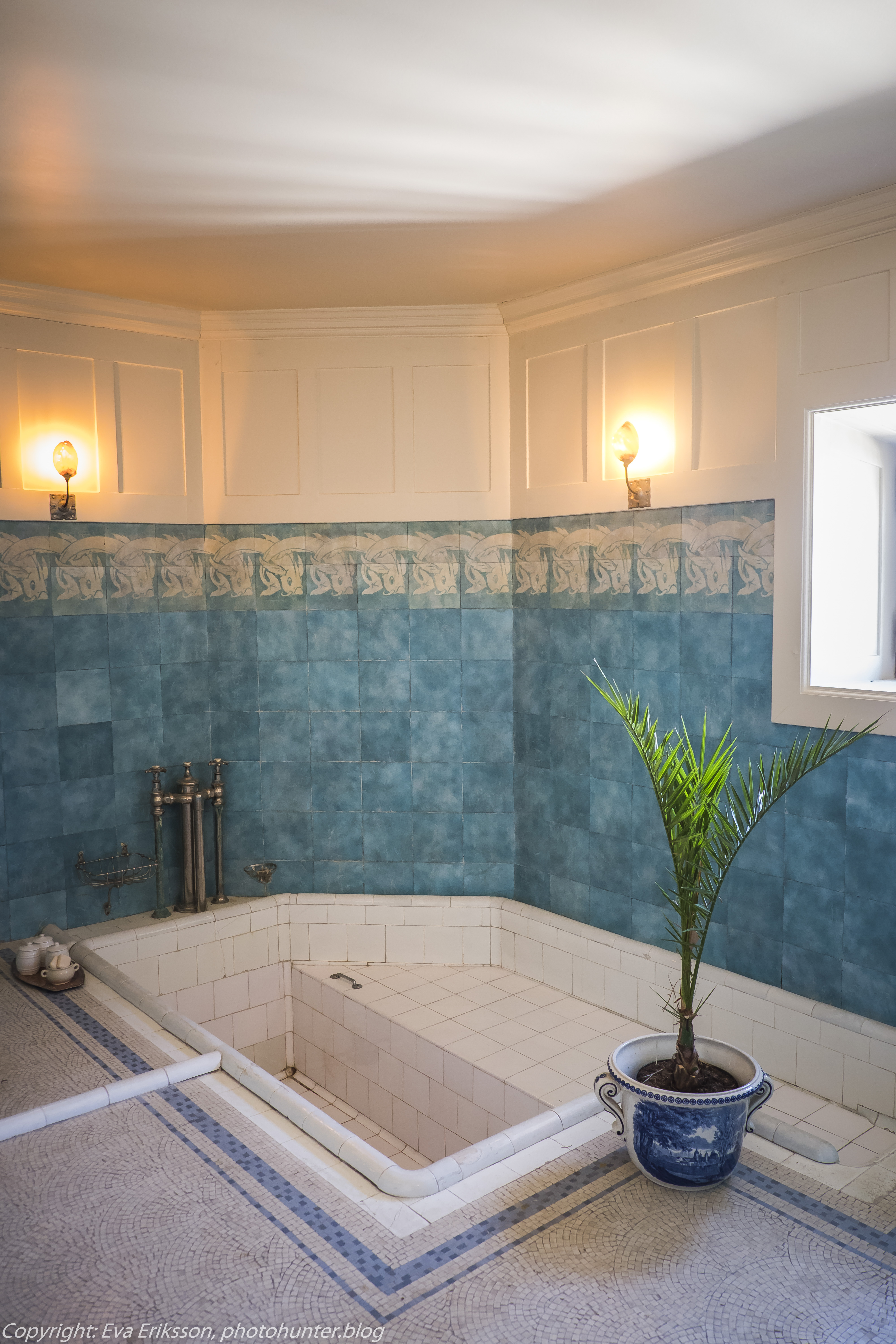 20072020-20072020-_DSF5180