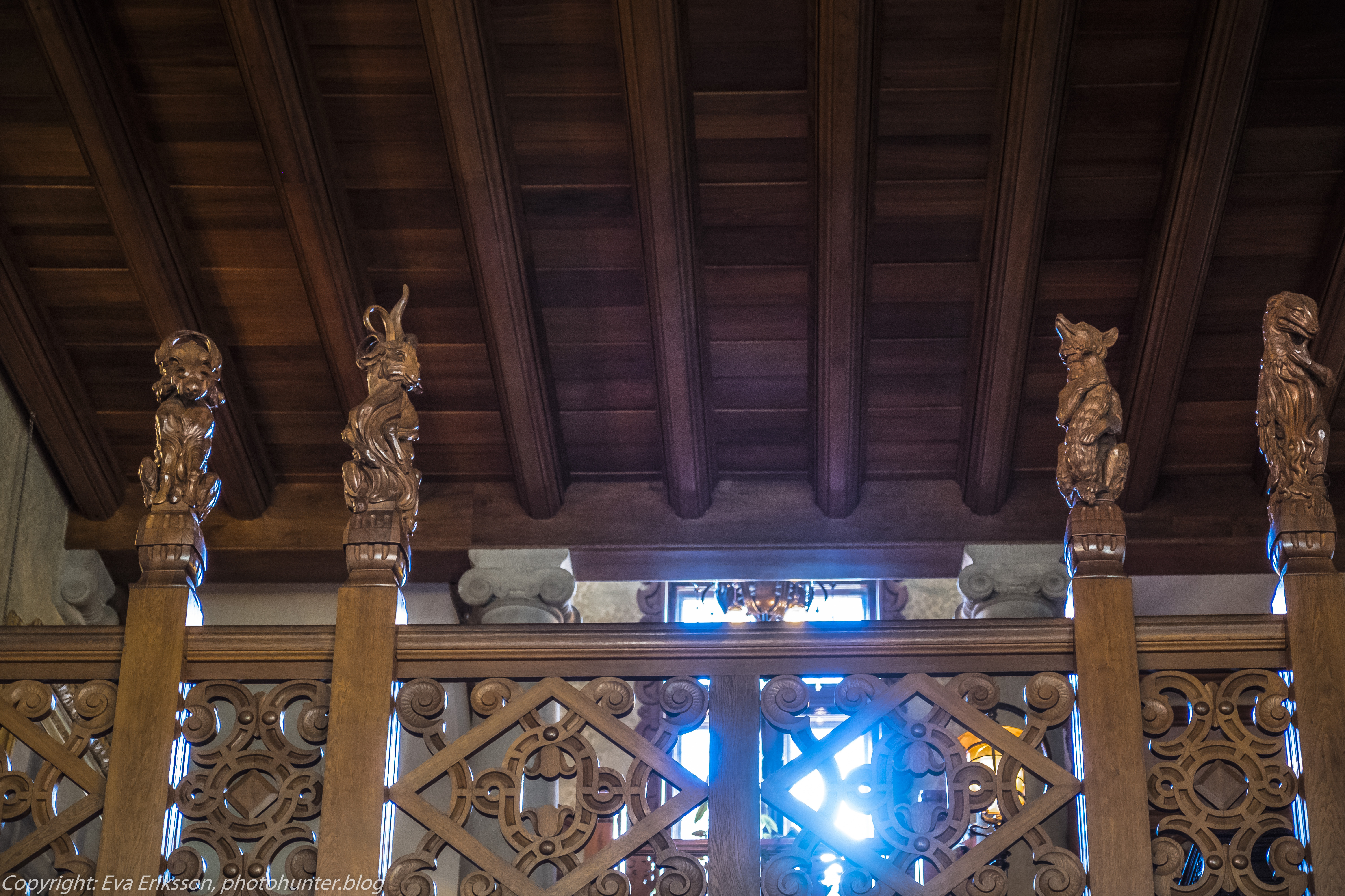 20072020-20072020-_DSF5189