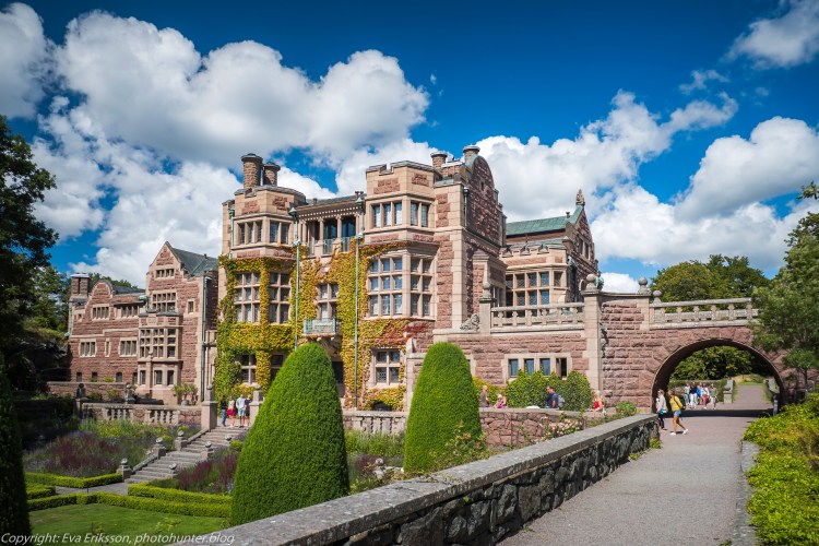 20072020-20072020-_DSF5204