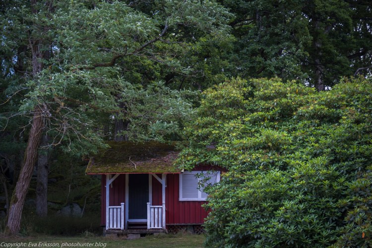 20072020-20072020-_DSF5212