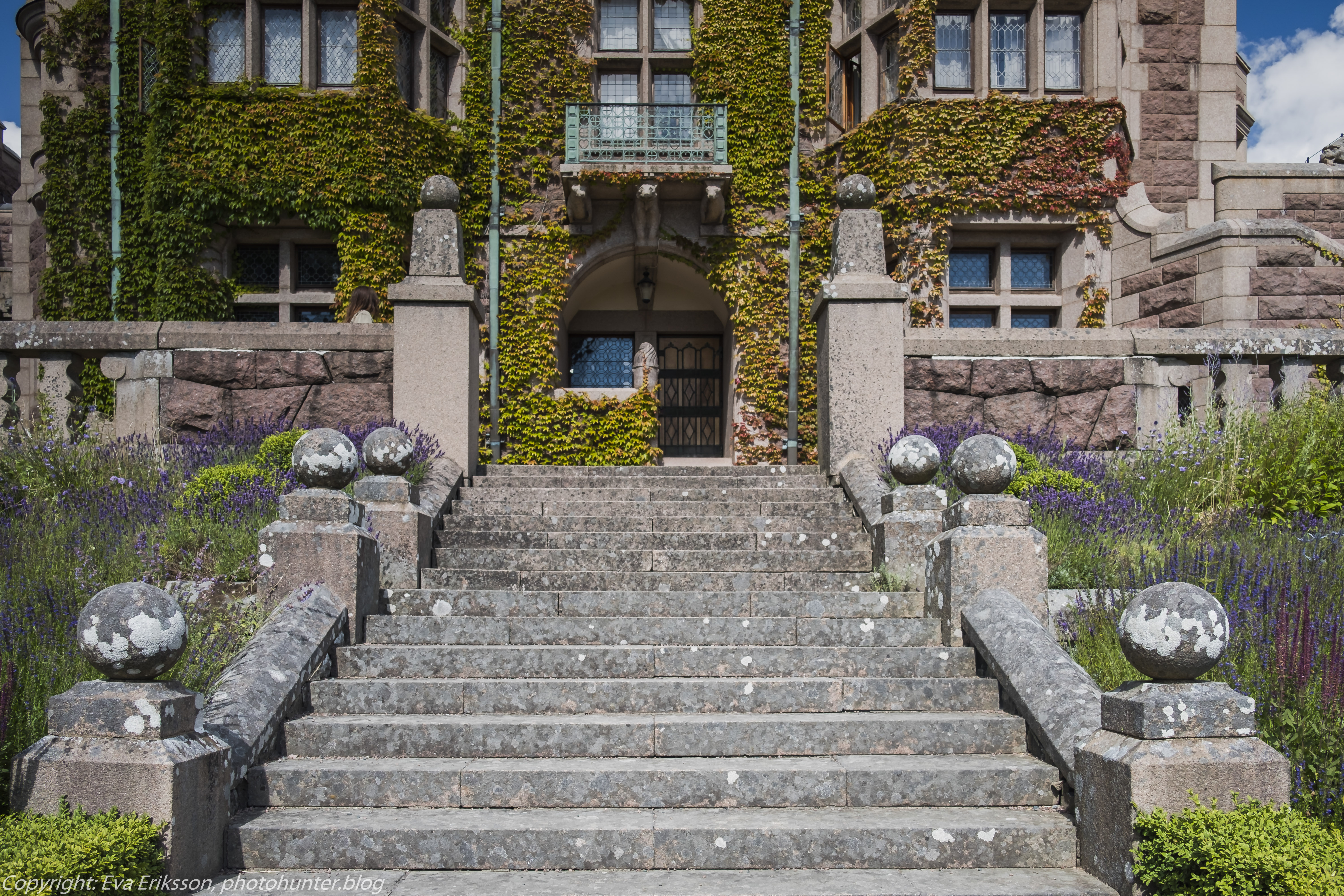 20072020-20072020-_DSF5218