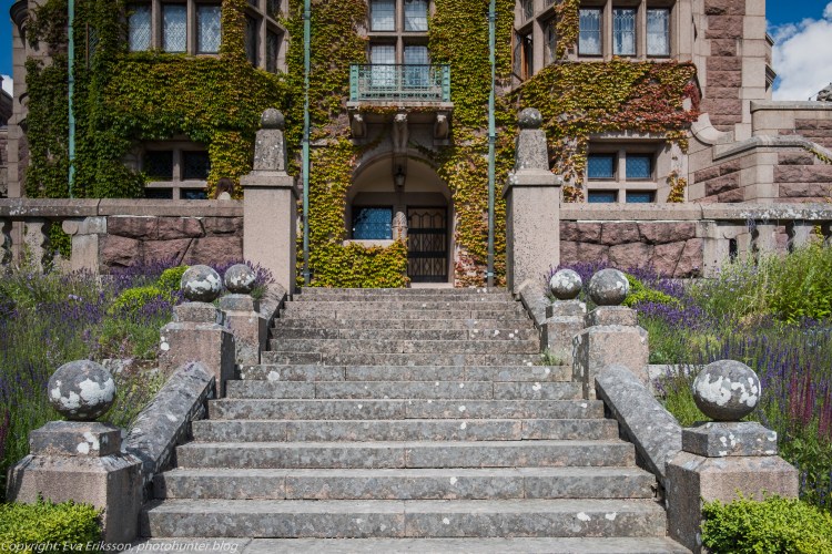 20072020-20072020-_DSF5218