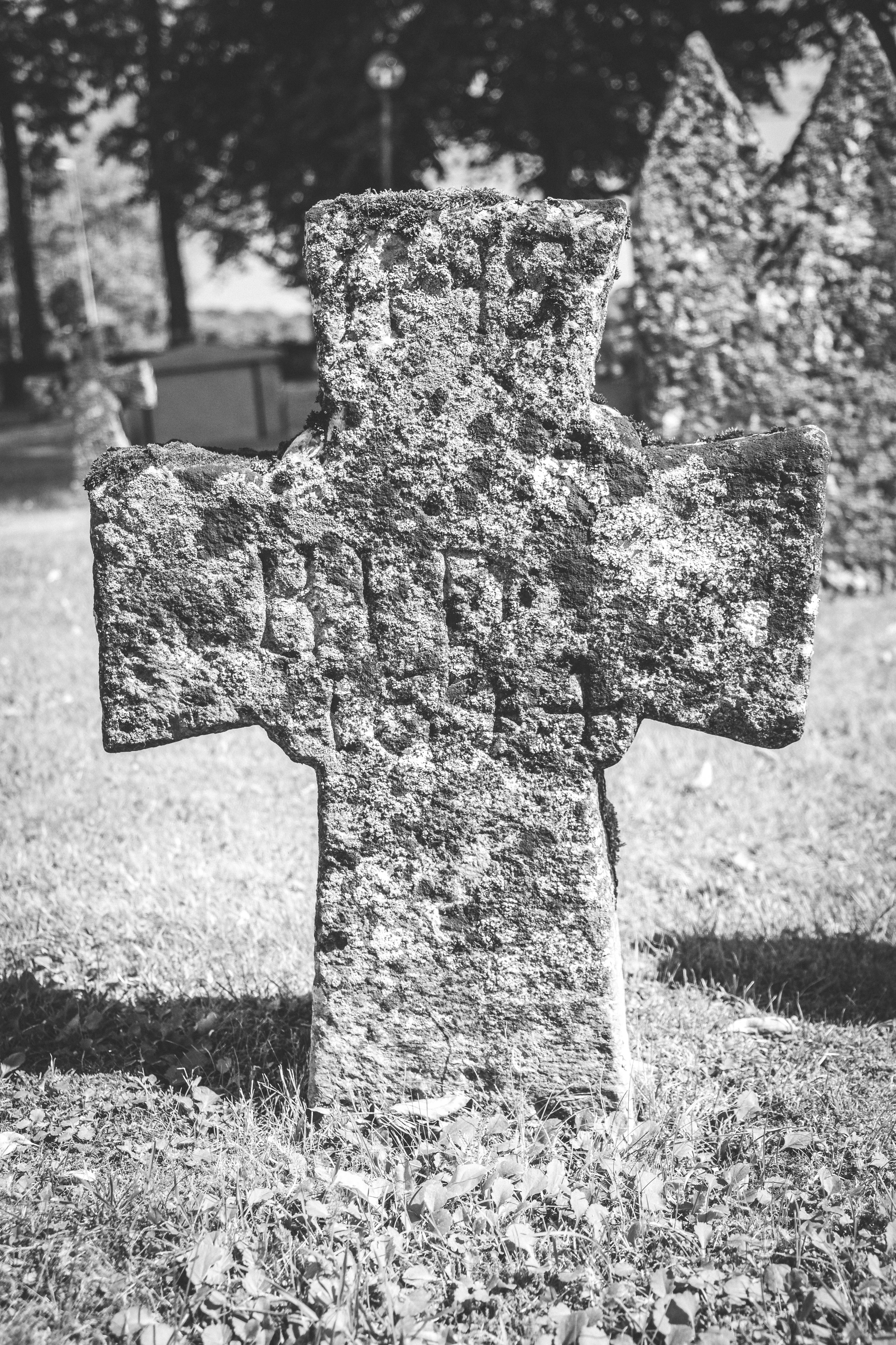 14082020-14082020-_DSF5862