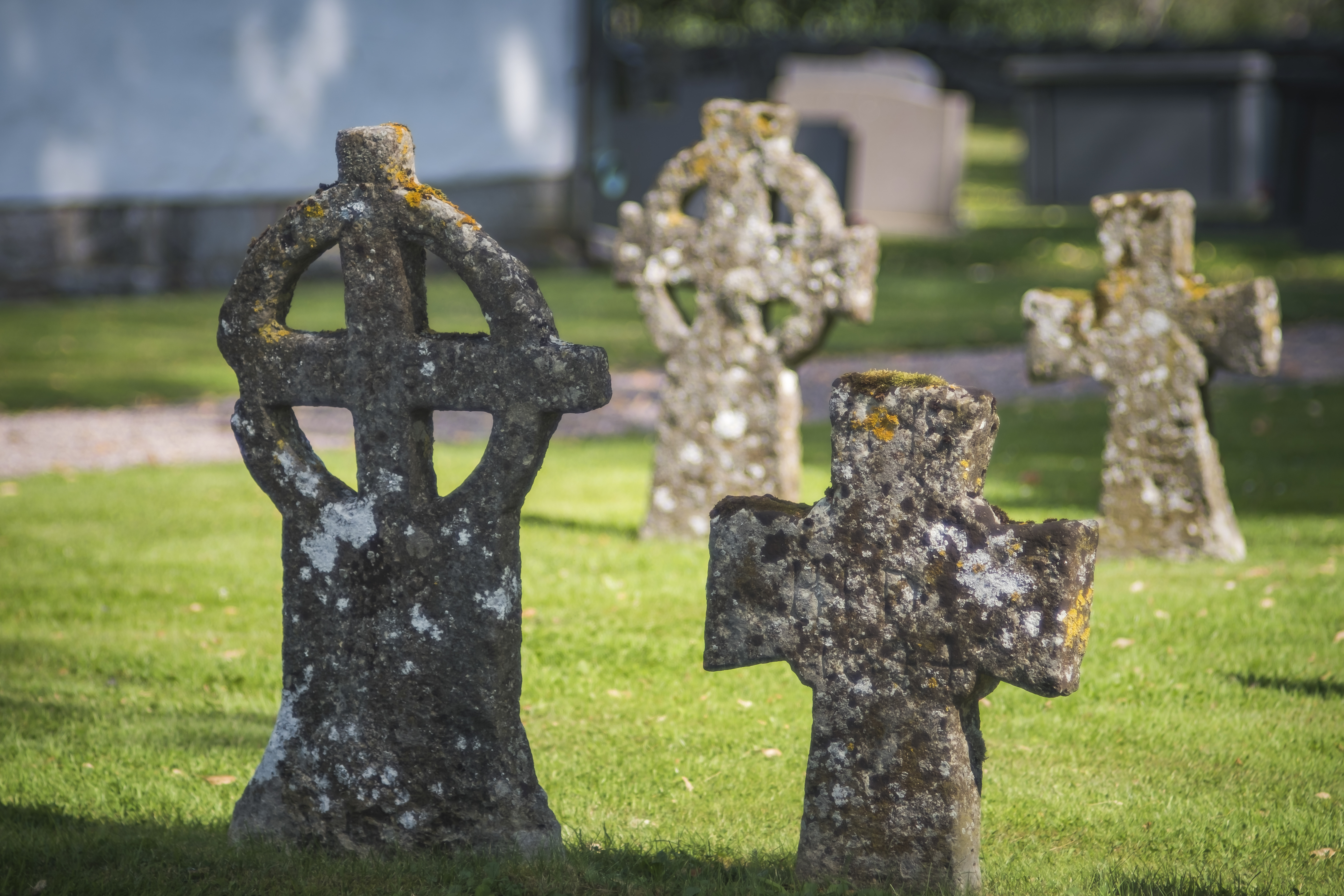 14082020-Tamron 135mm 2.8