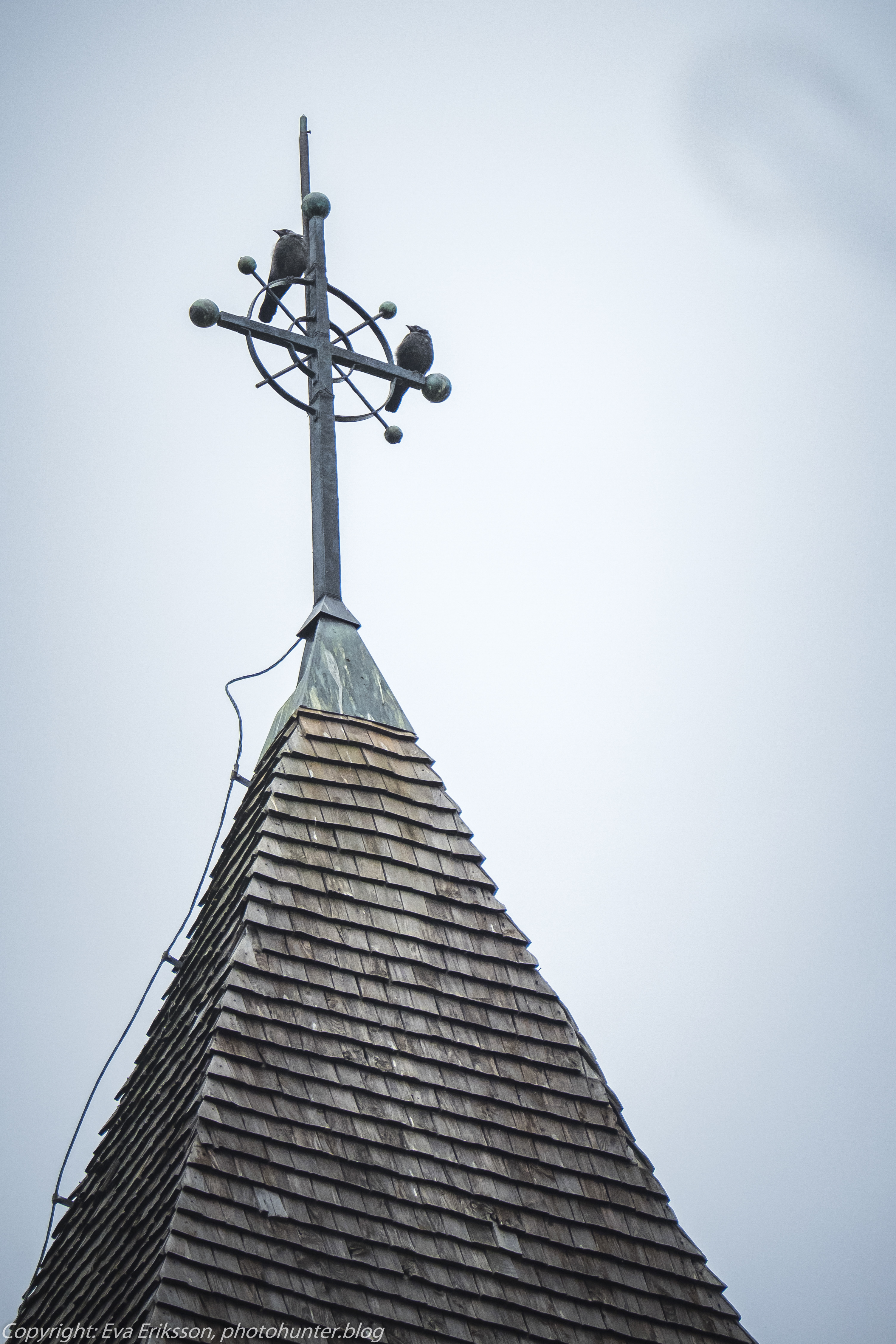 26082020-26082020-_DSF6598