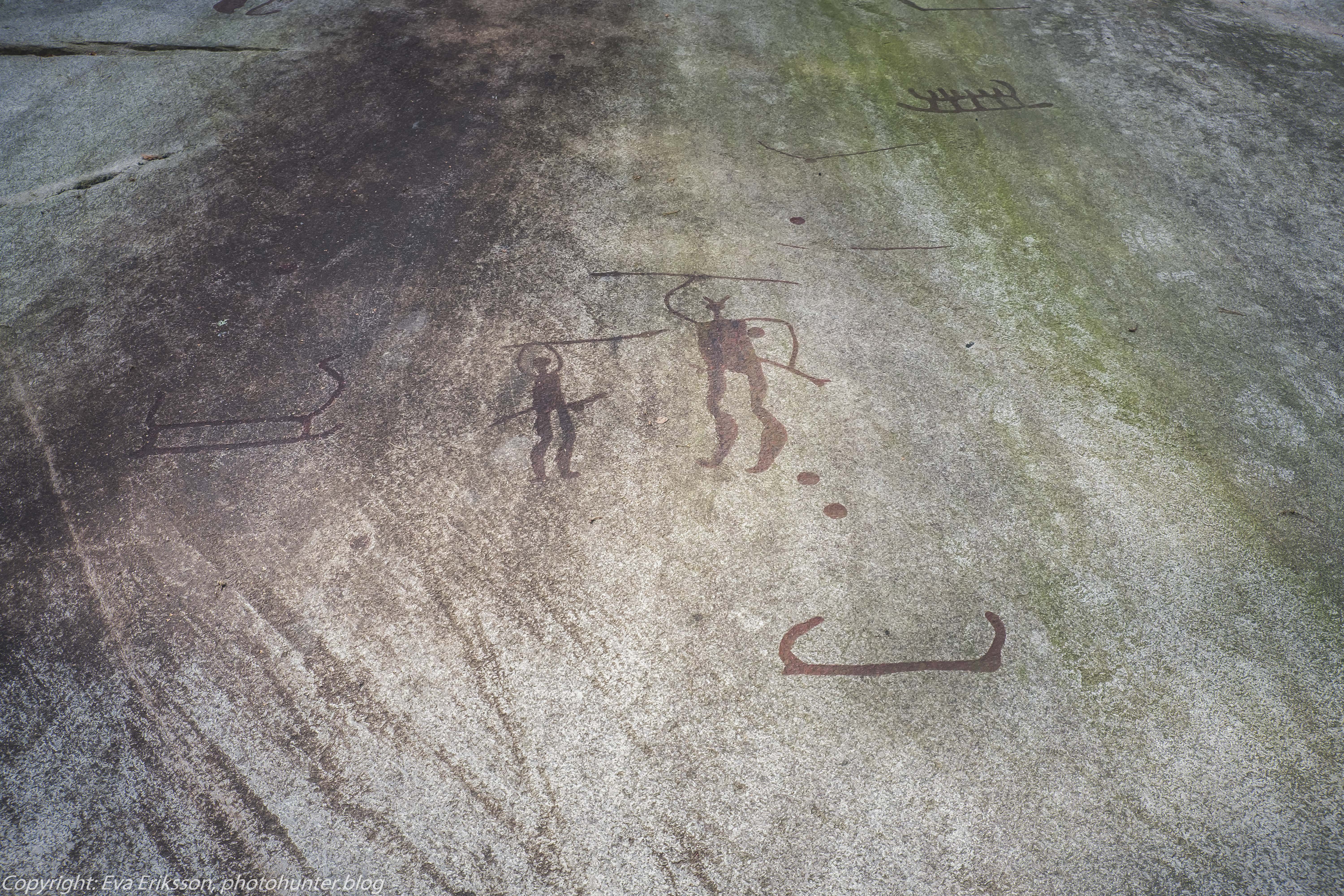 18082020-18082020-_DSF6239