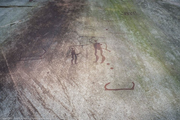 18082020-18082020-_DSF6239