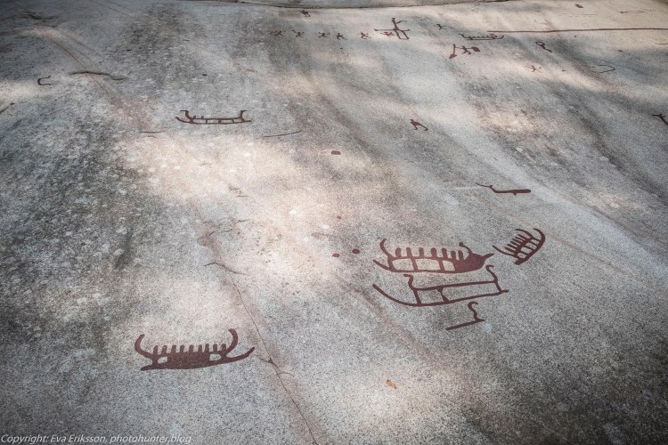 18082020-18082020-_DSF6244