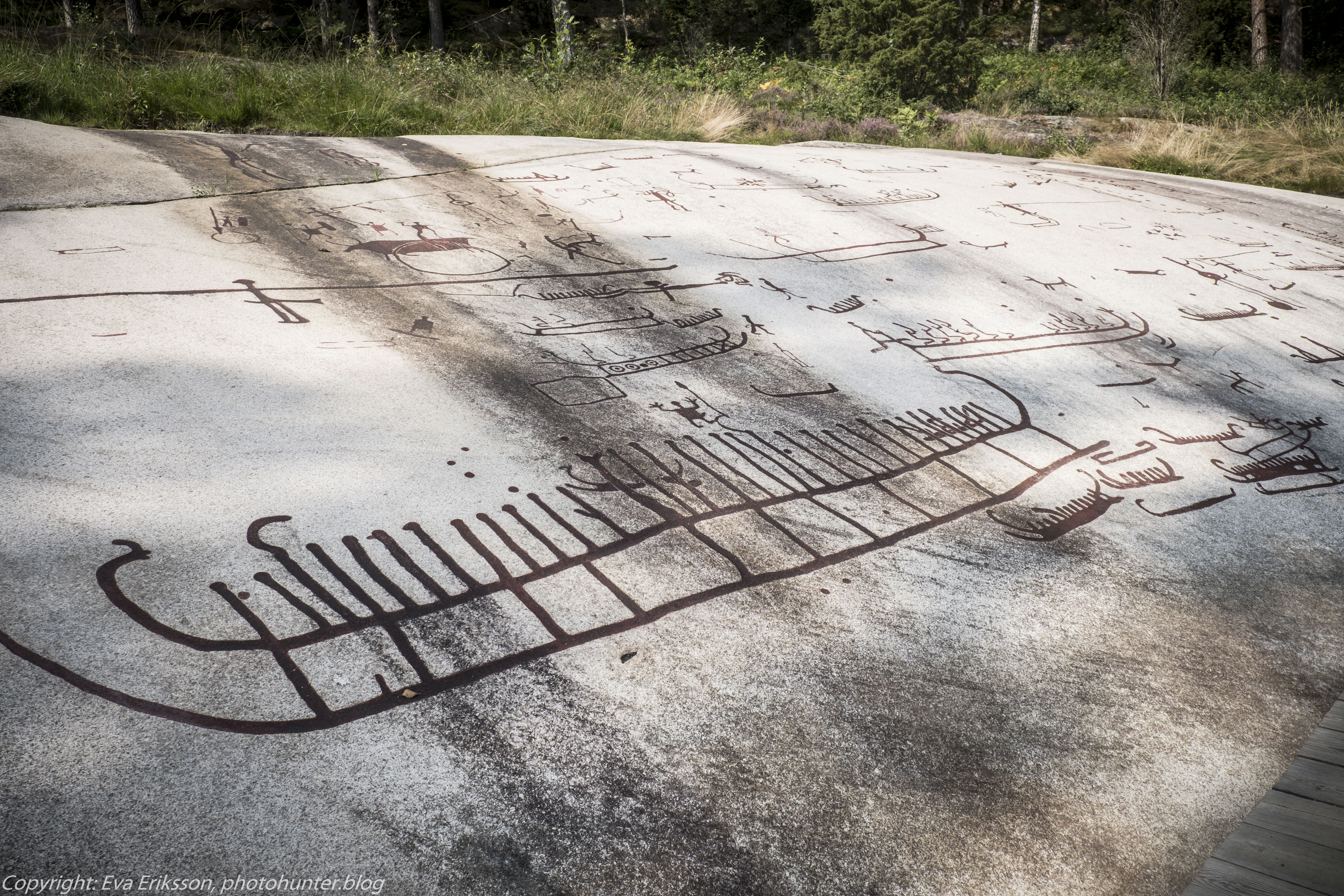 18082020-18082020-_DSF6248