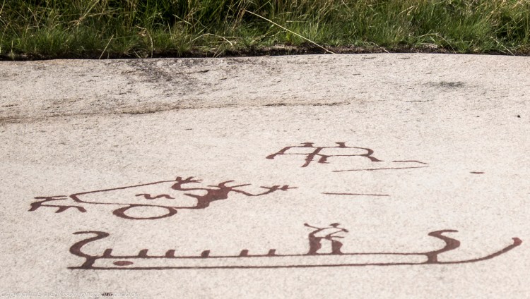 18082020-18082020-_DSF6255 (2)