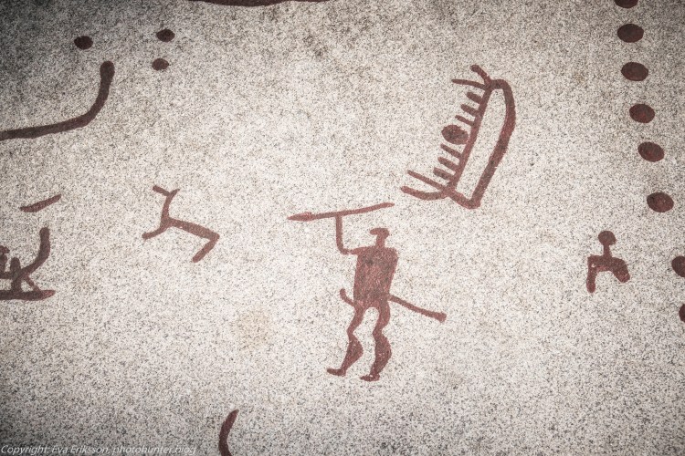 18082020-18082020-_DSF6257