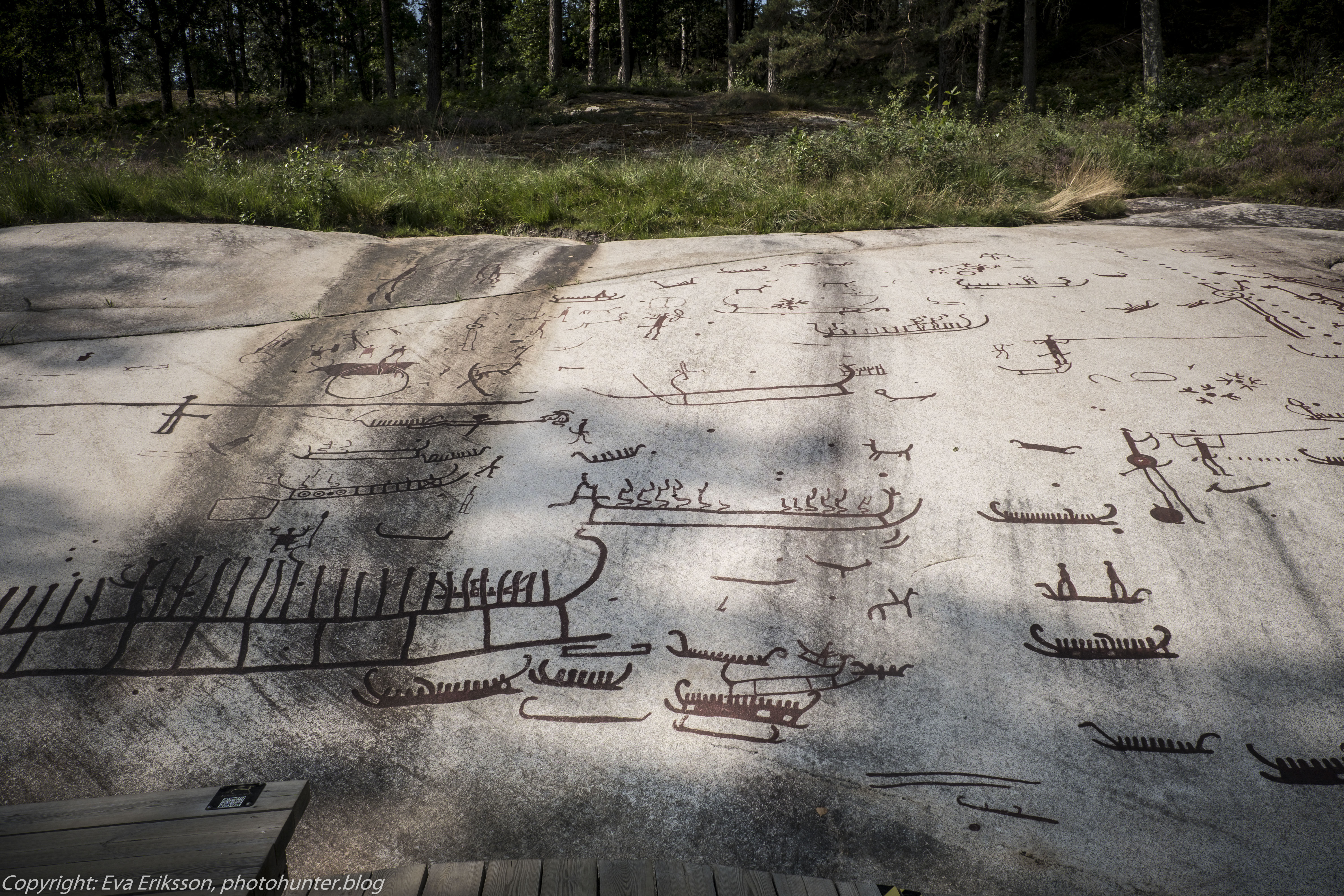 18082020-18082020-_DSF6263