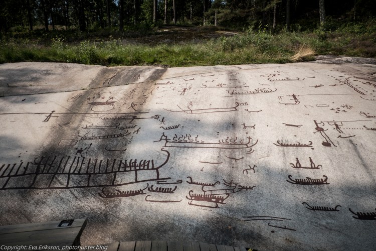 18082020-18082020-_DSF6263