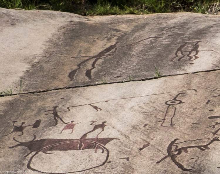 18082020-18082020-_DSF6263 (2)