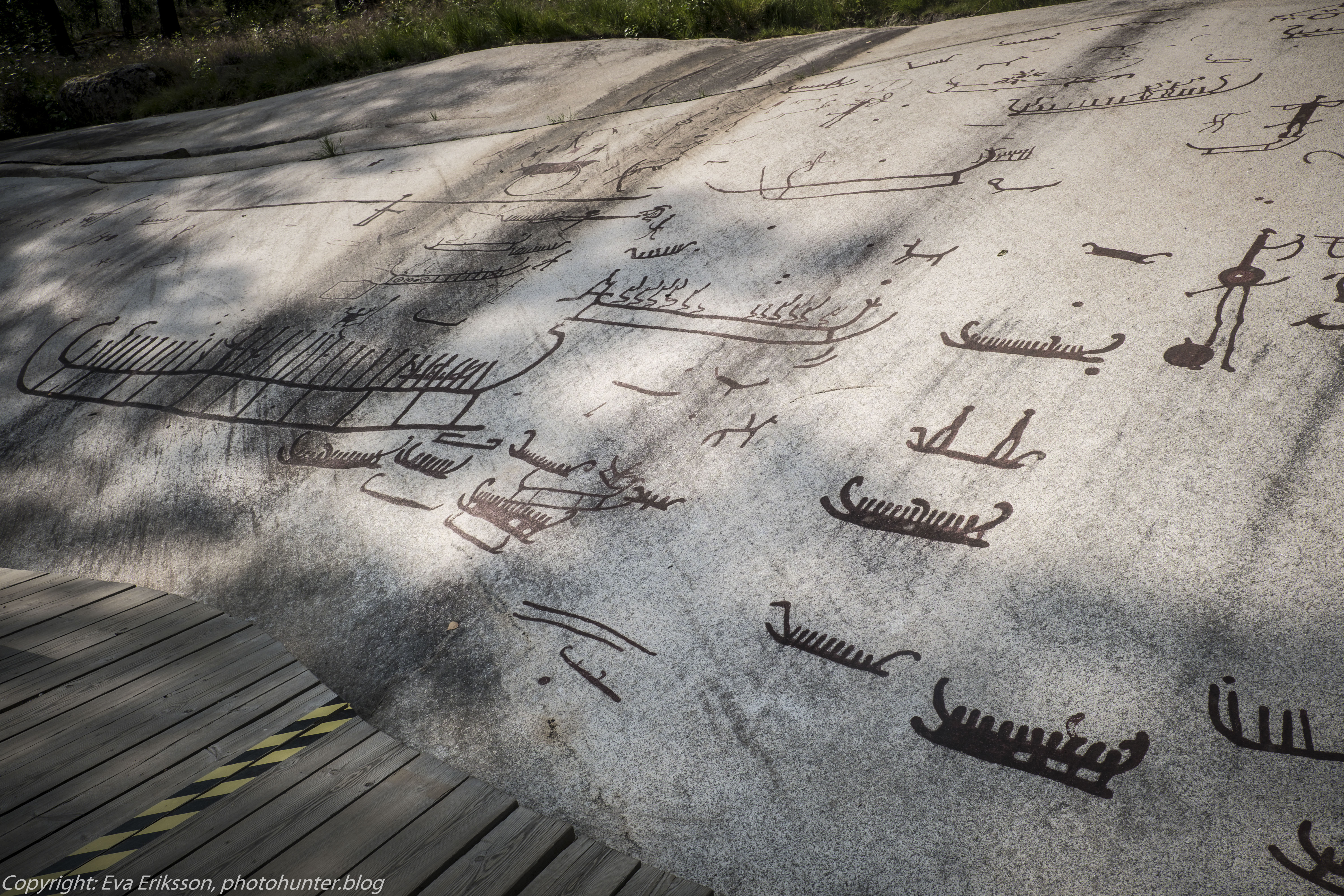 18082020-18082020-_DSF6264