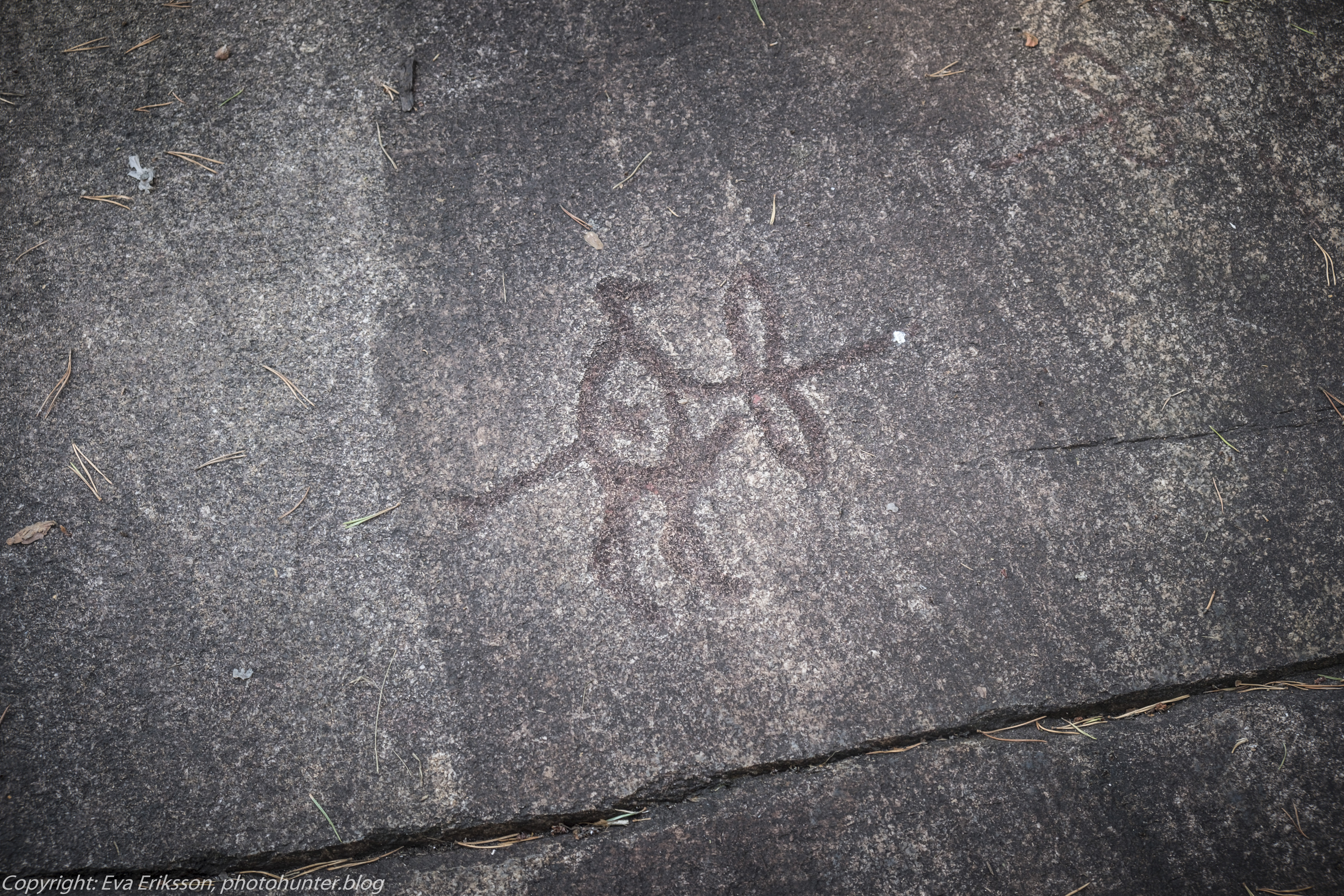 18082020-18082020-_DSF6270