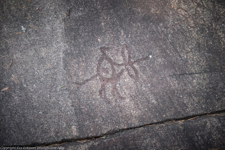 18082020-18082020-_DSF6270